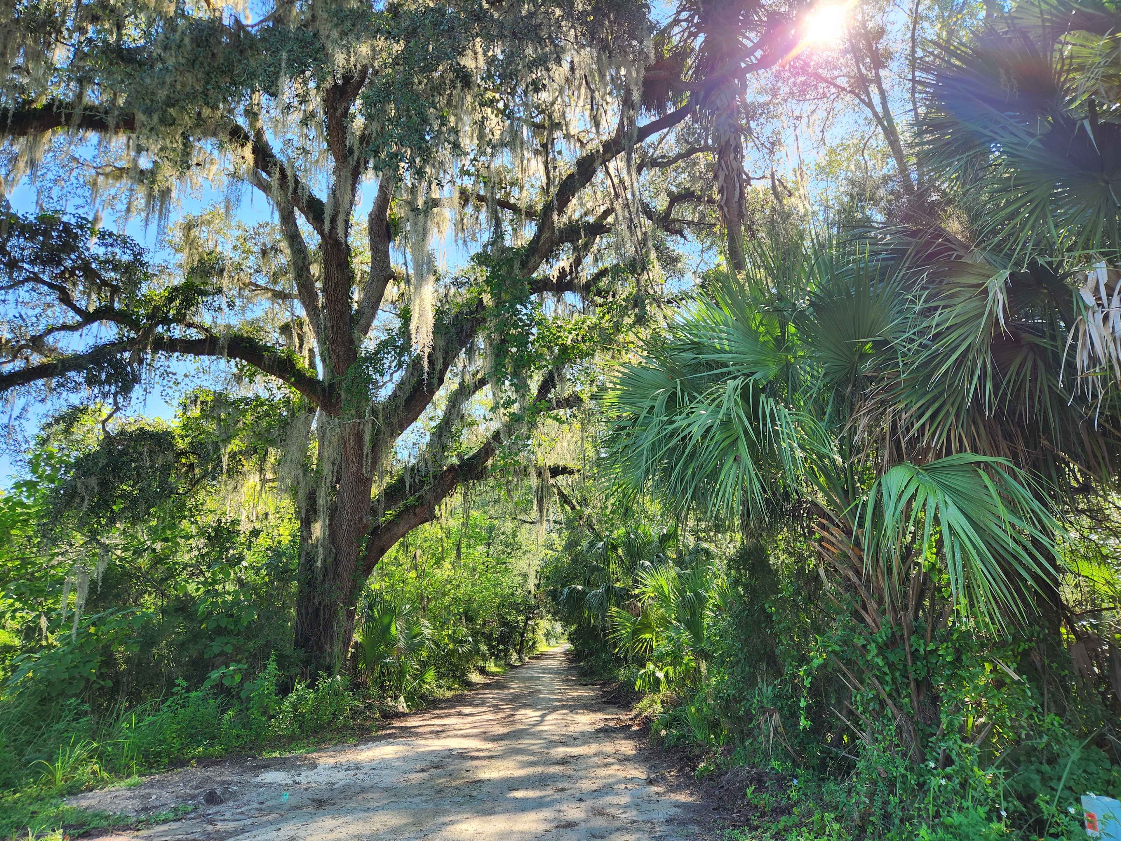 Cypress Valley Farm, Inc.