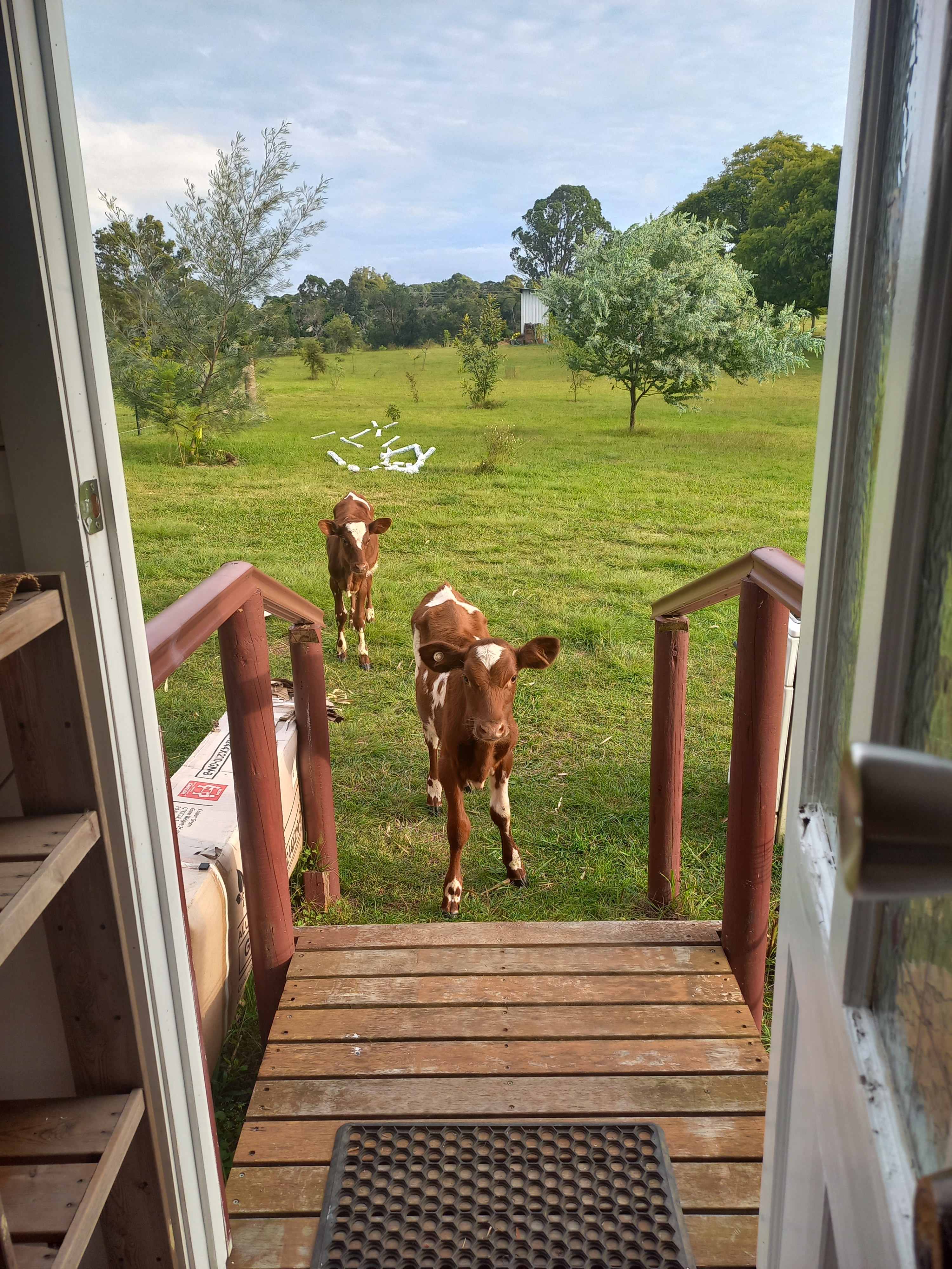 Maison de lavande Farmstay