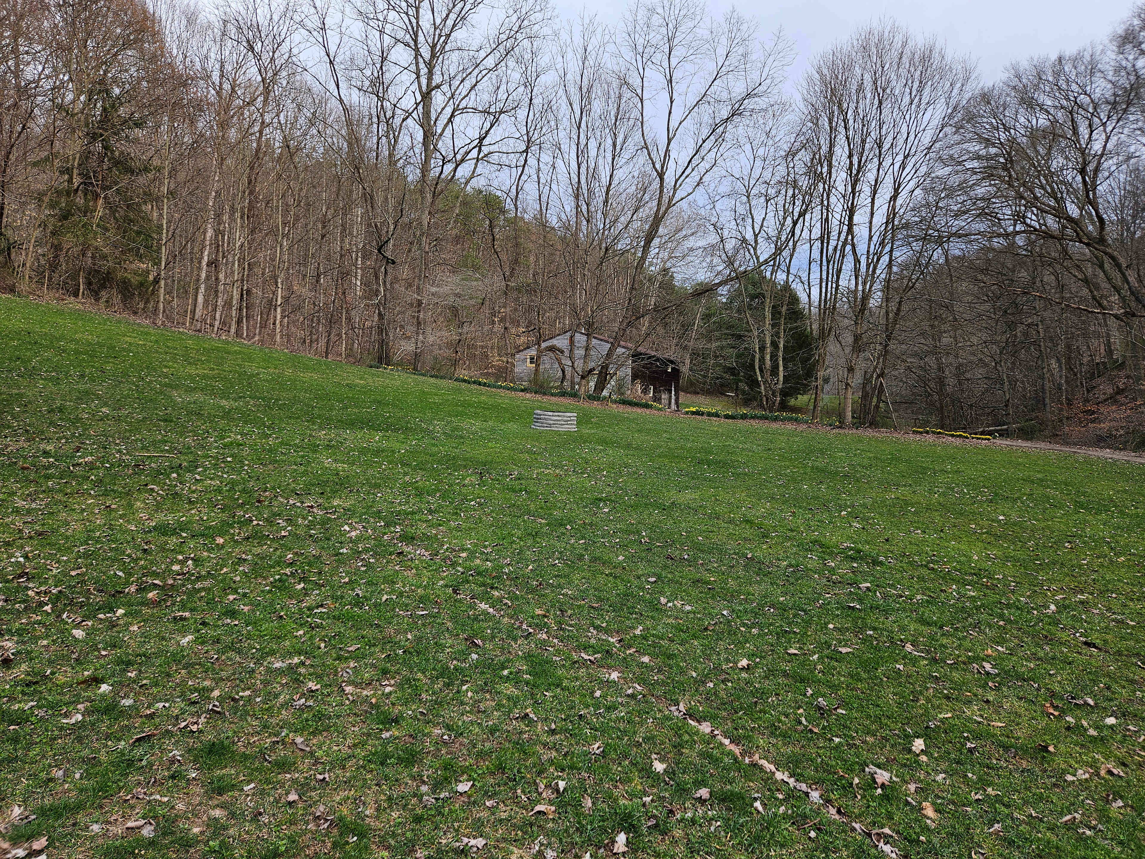 The Hollow