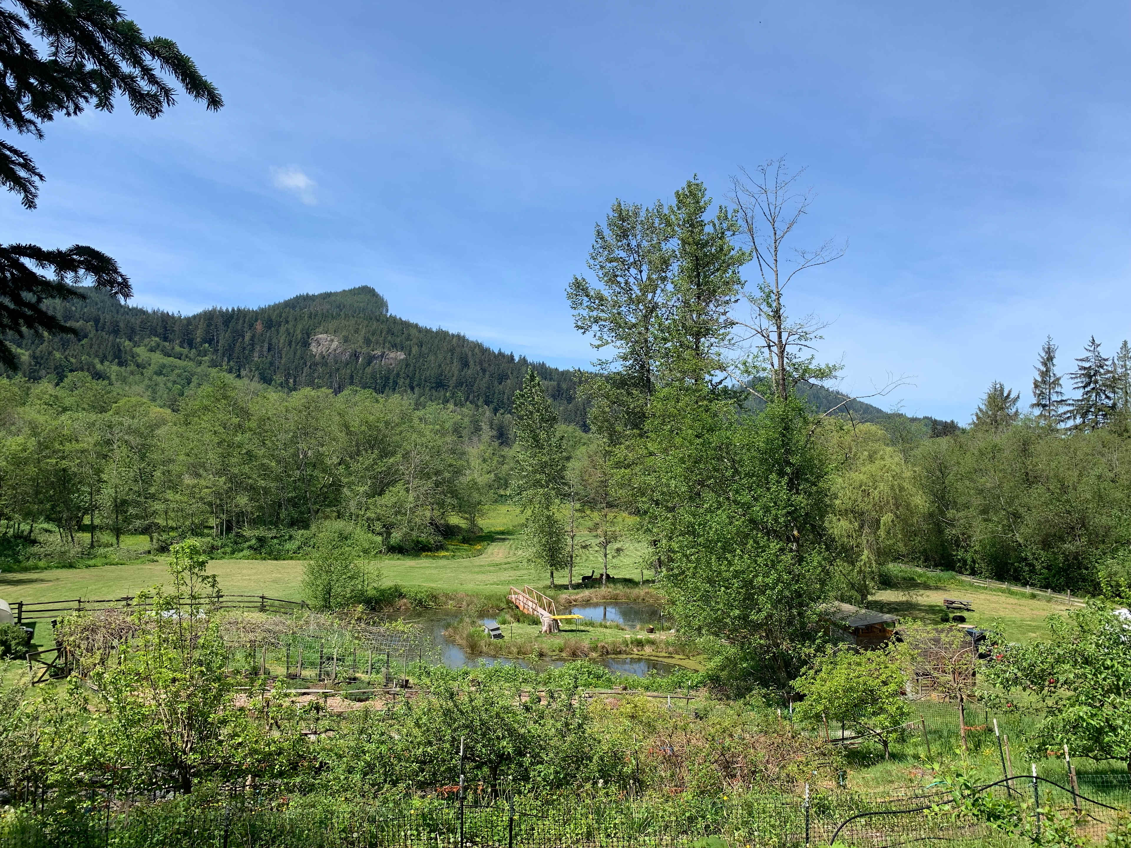 Lazy H Farm and Gardens