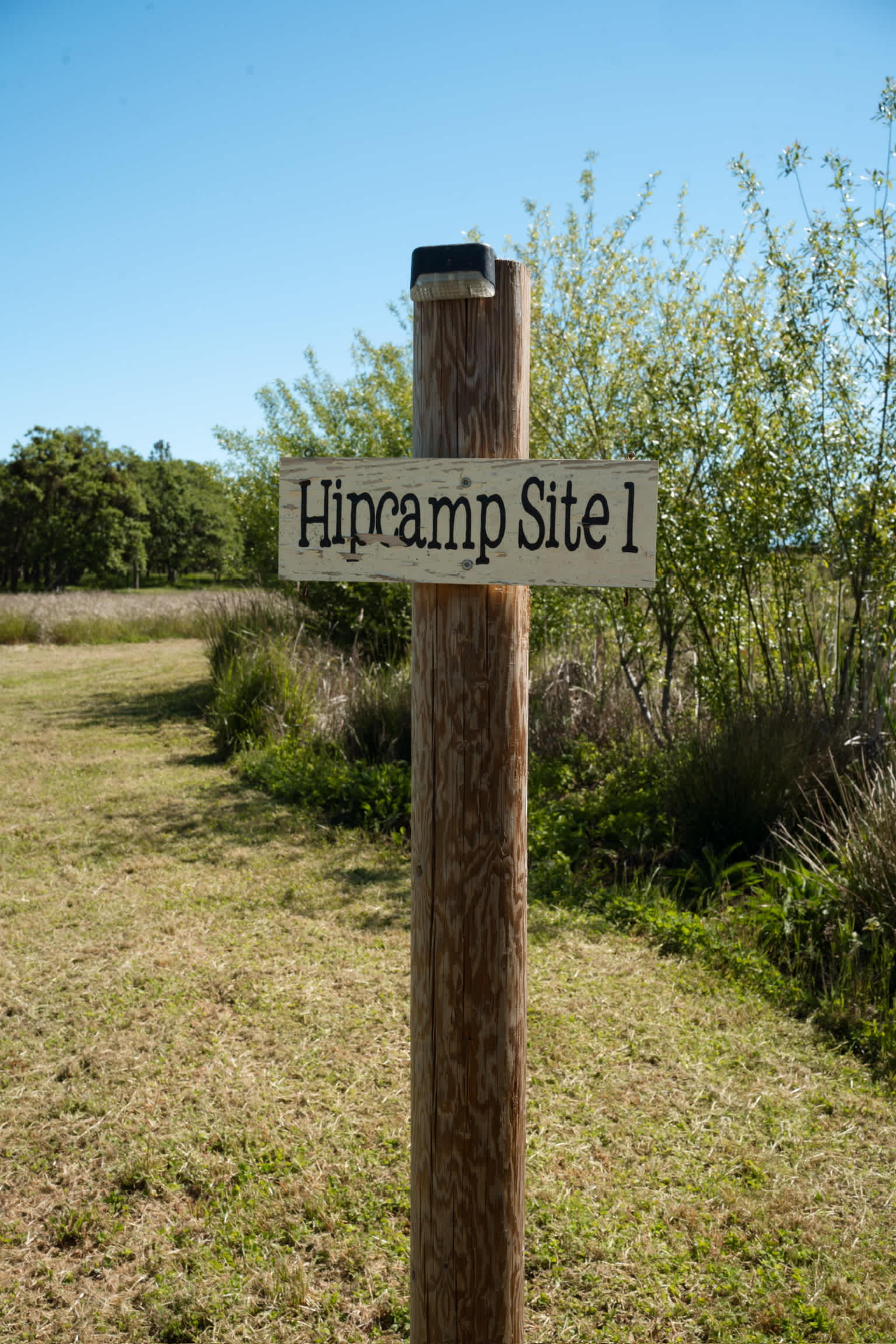 Picture of the site