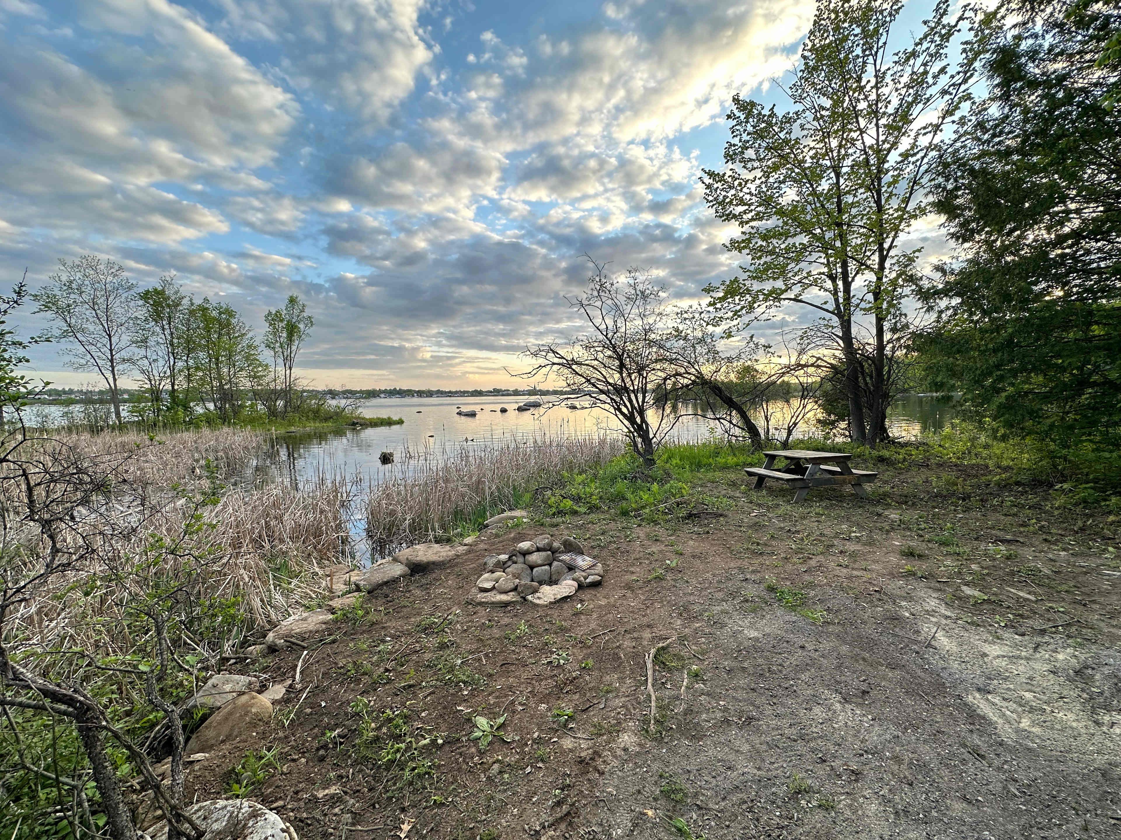 Spring (May) - The view by the fire pit looking southwest. 