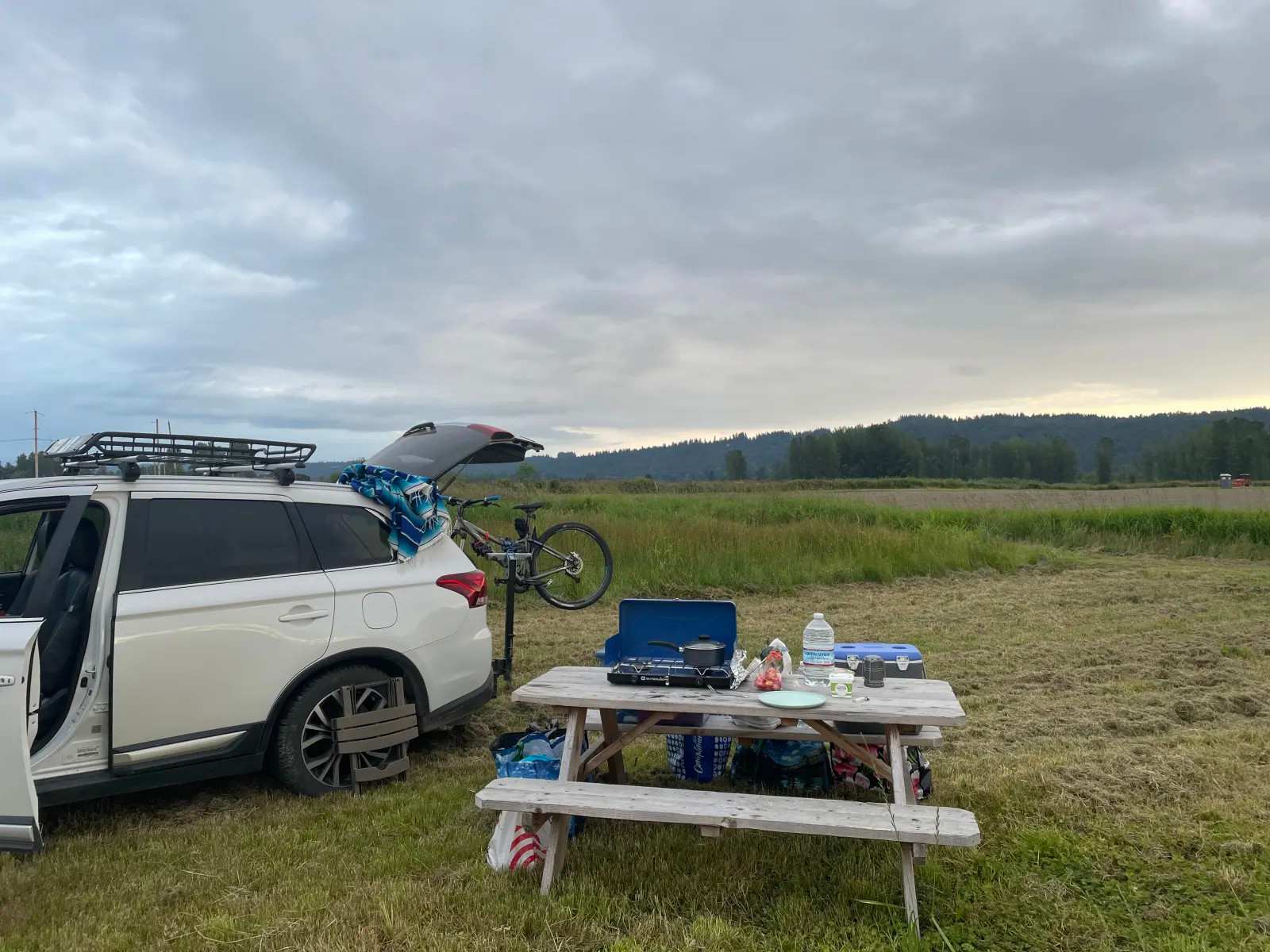 Picture of the site