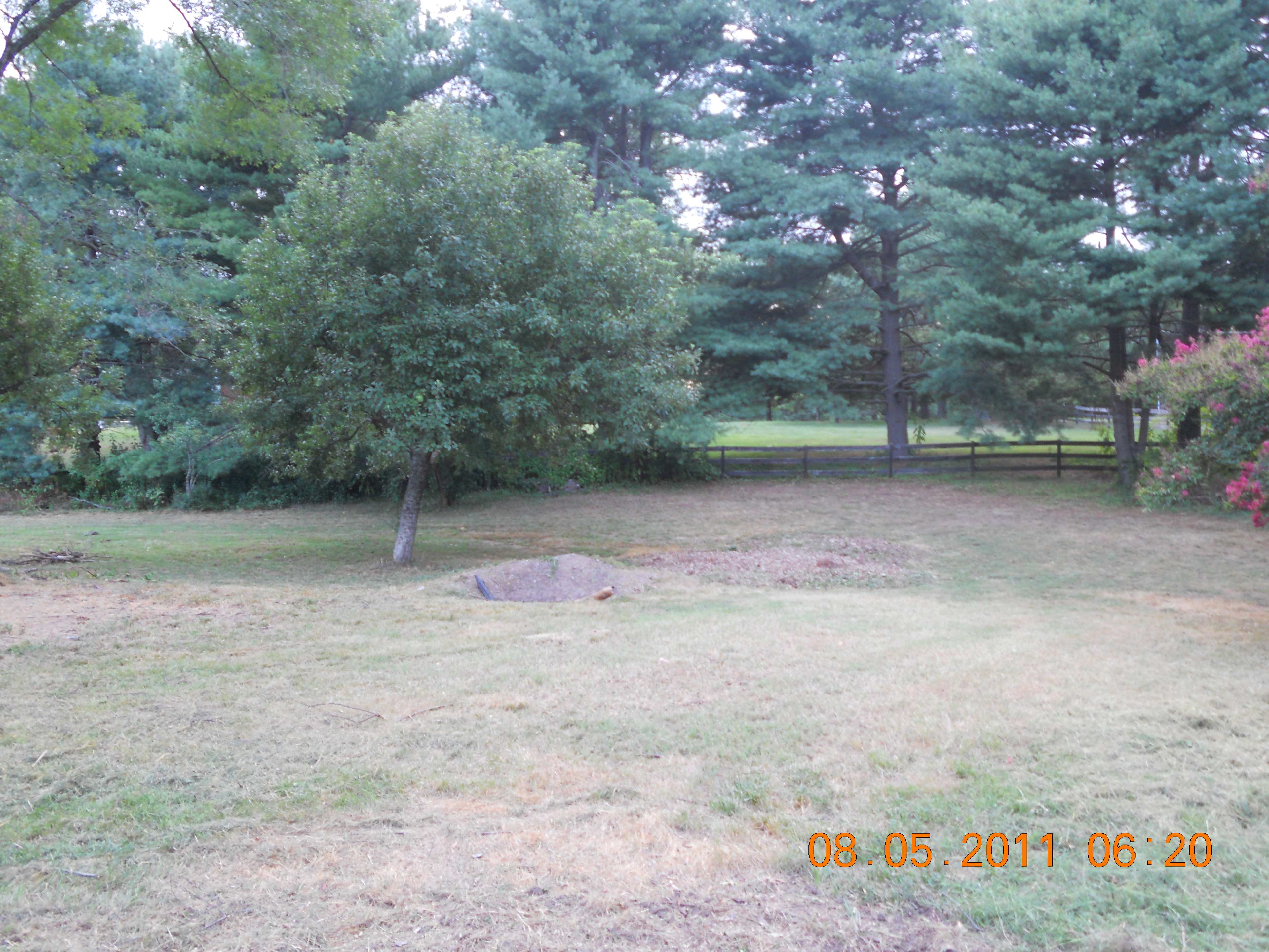 Picture of the site