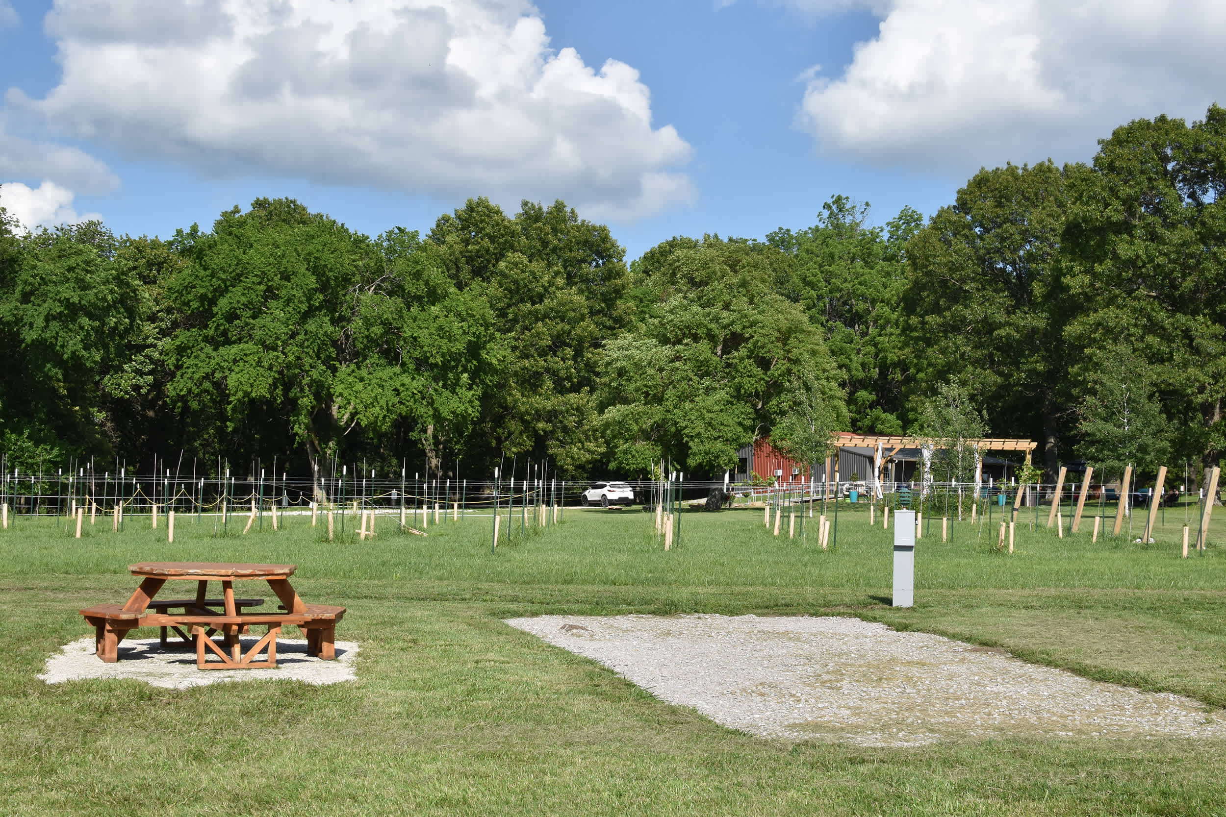 Picture of the site