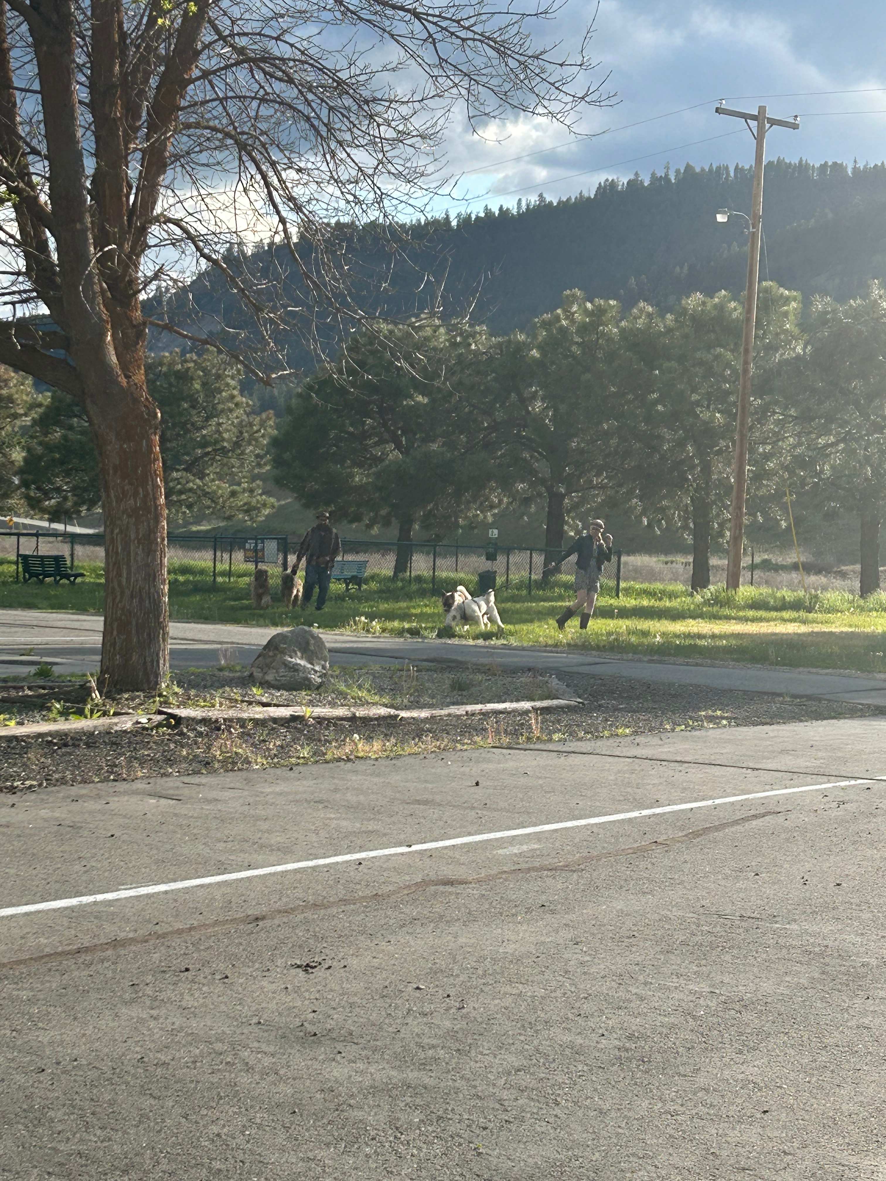 Picture of the site