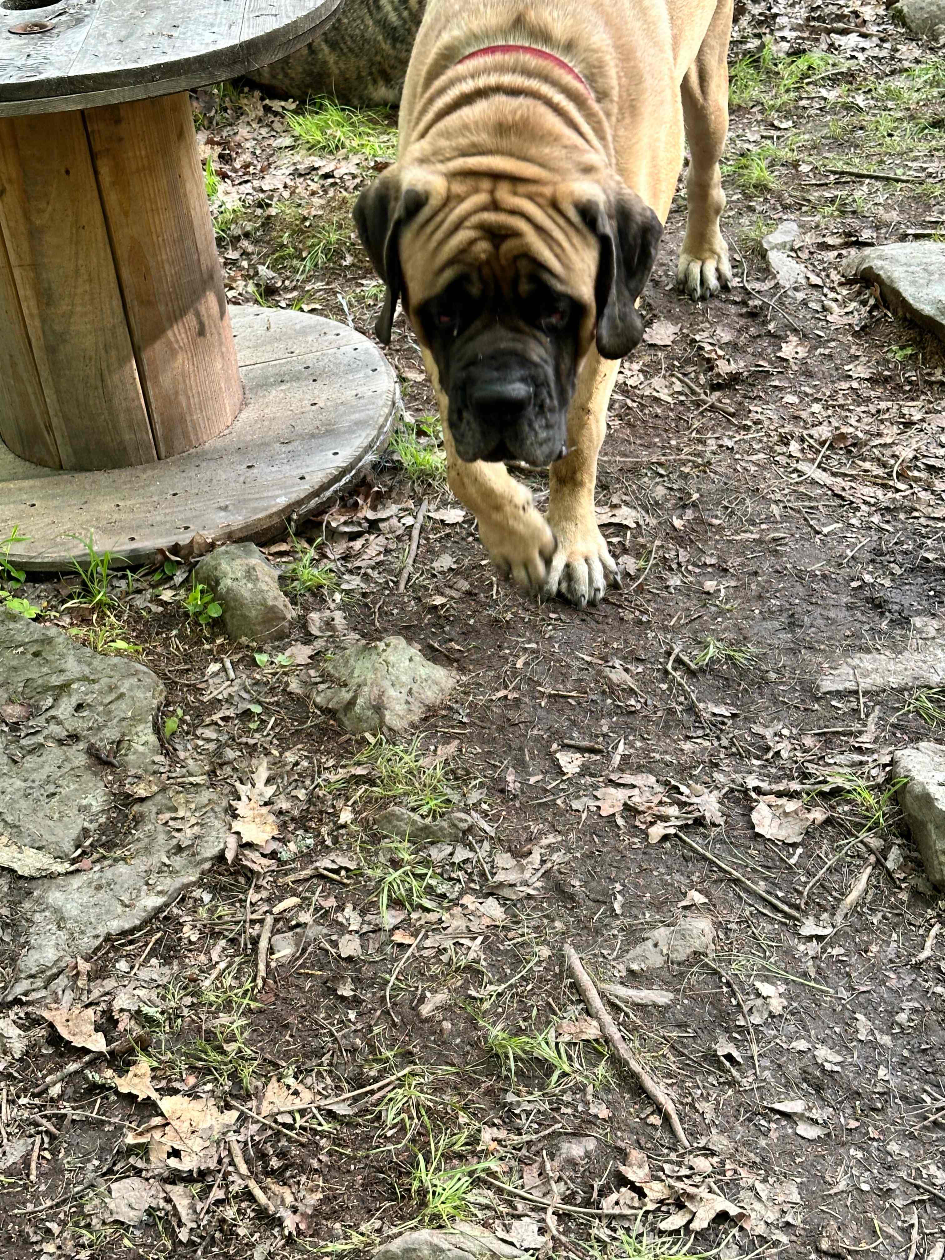 Oliver had a blast! 