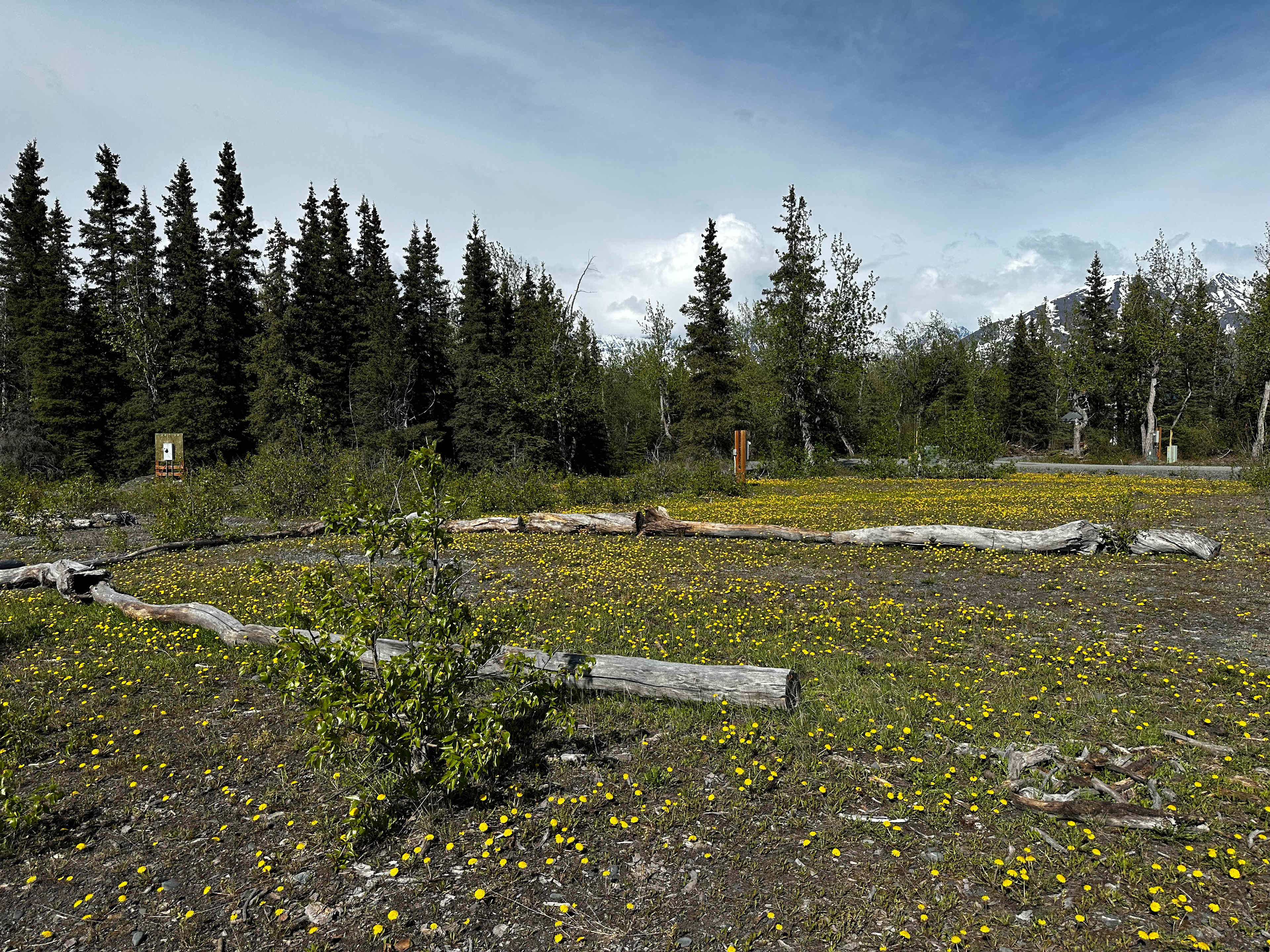 Picture of the site