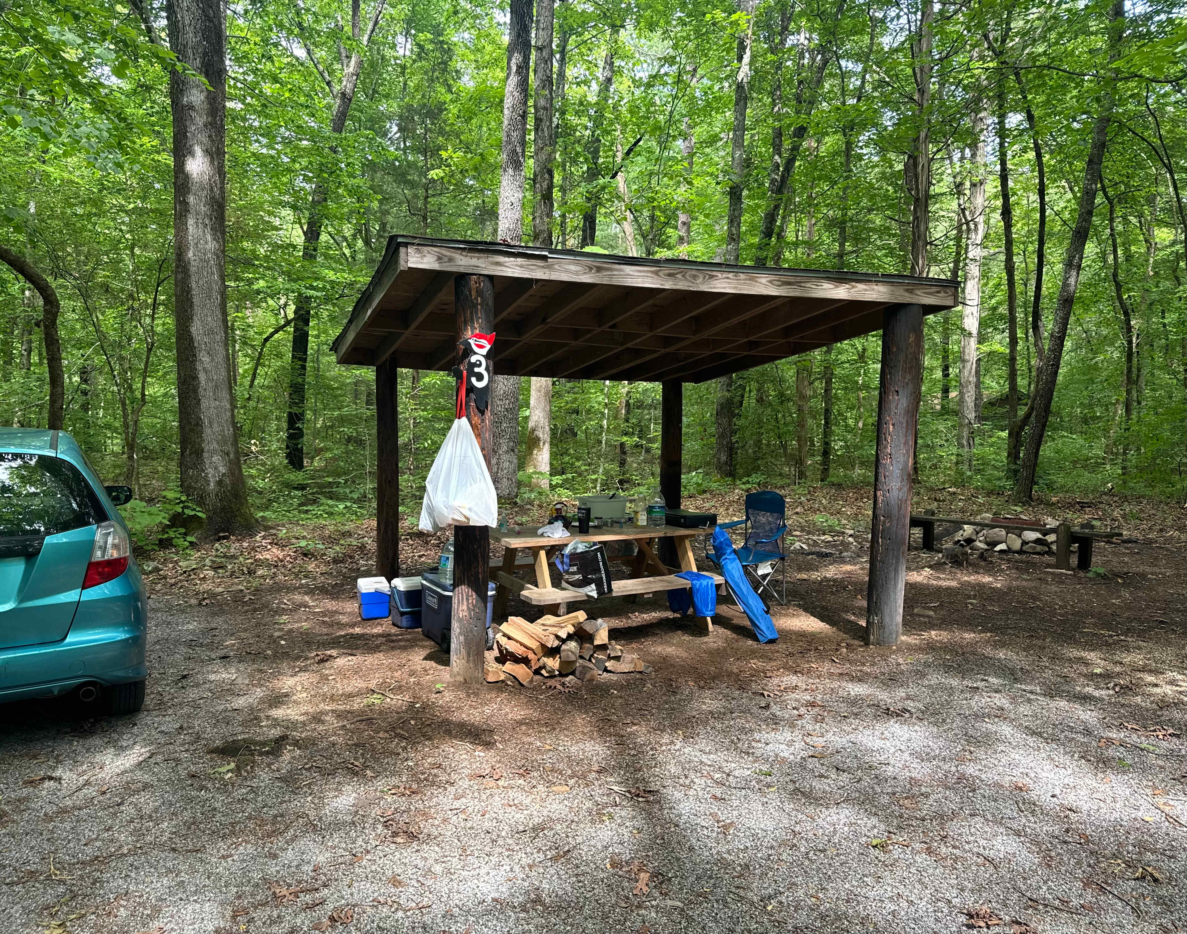 Picture of the site