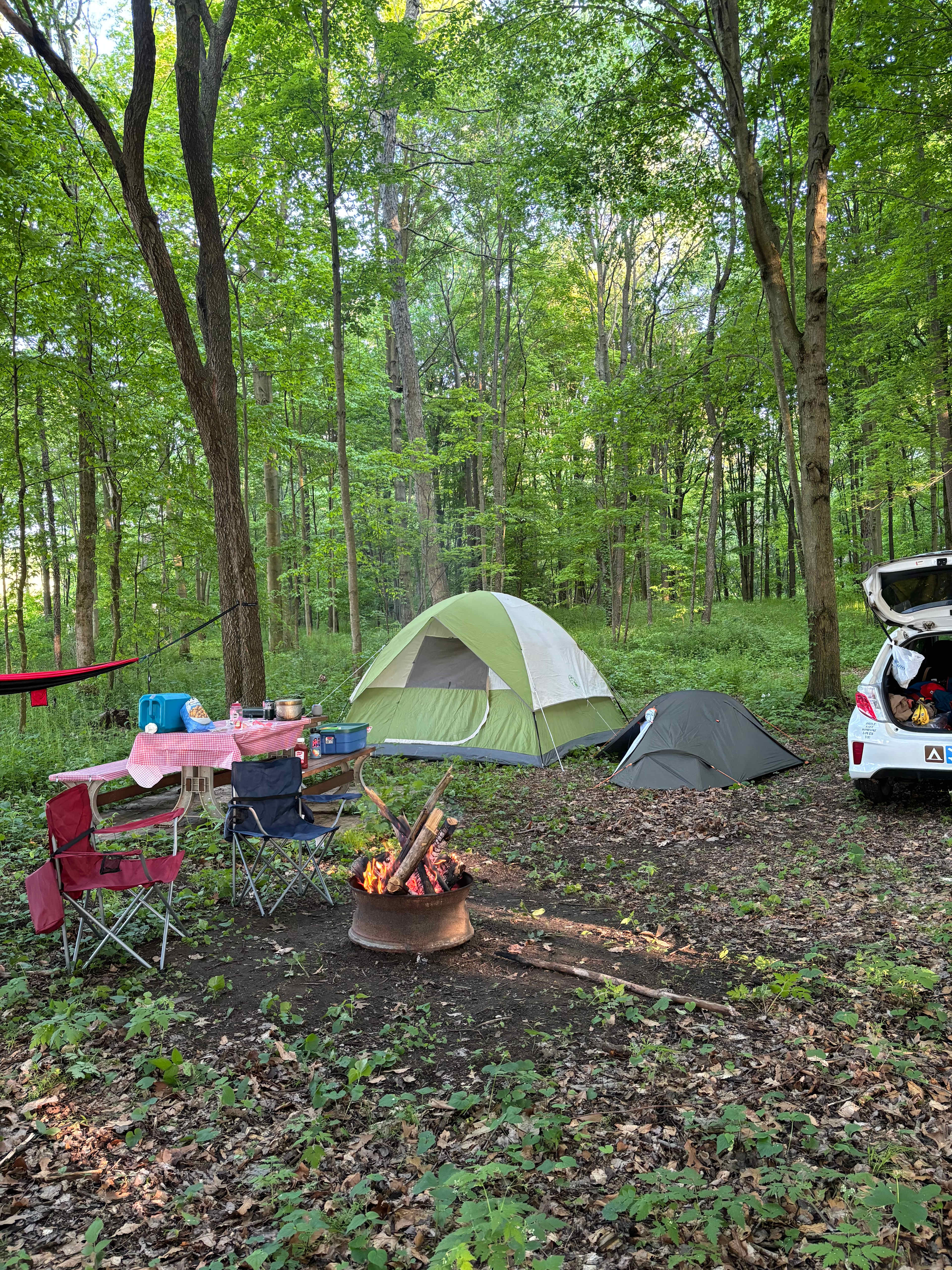 Picture of the site