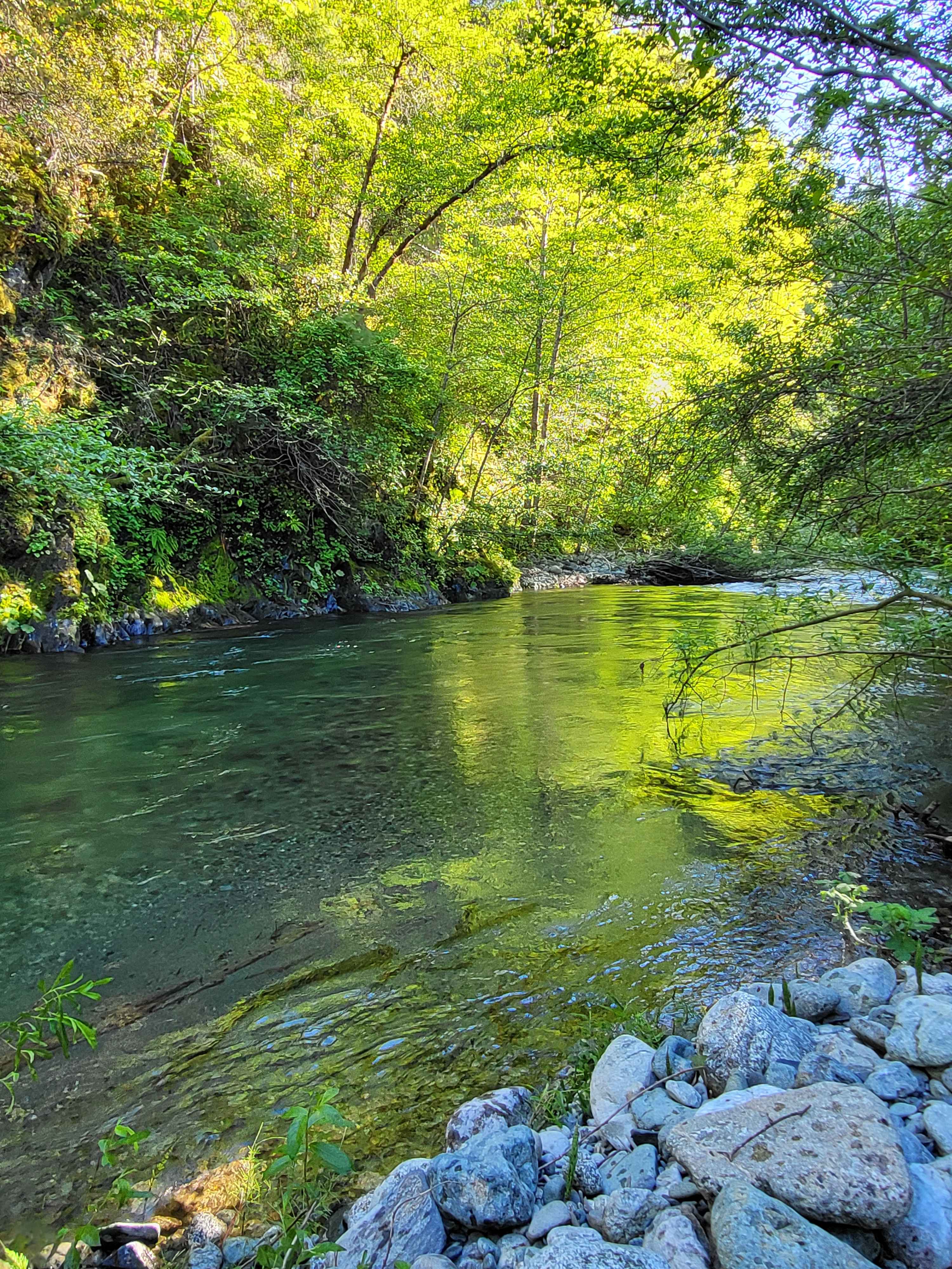 The Swimming Hole On Red Cap Creek