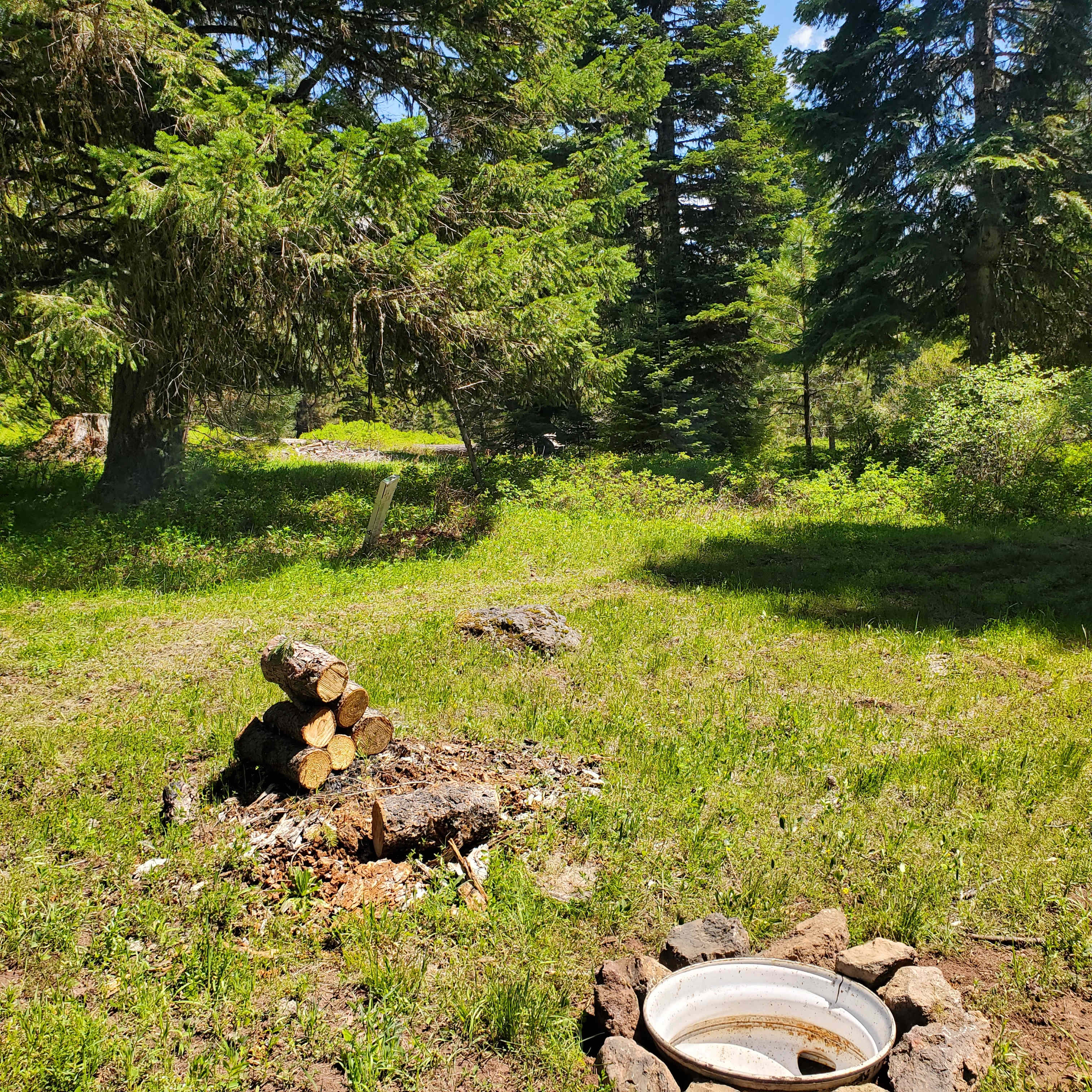 Picture of the site