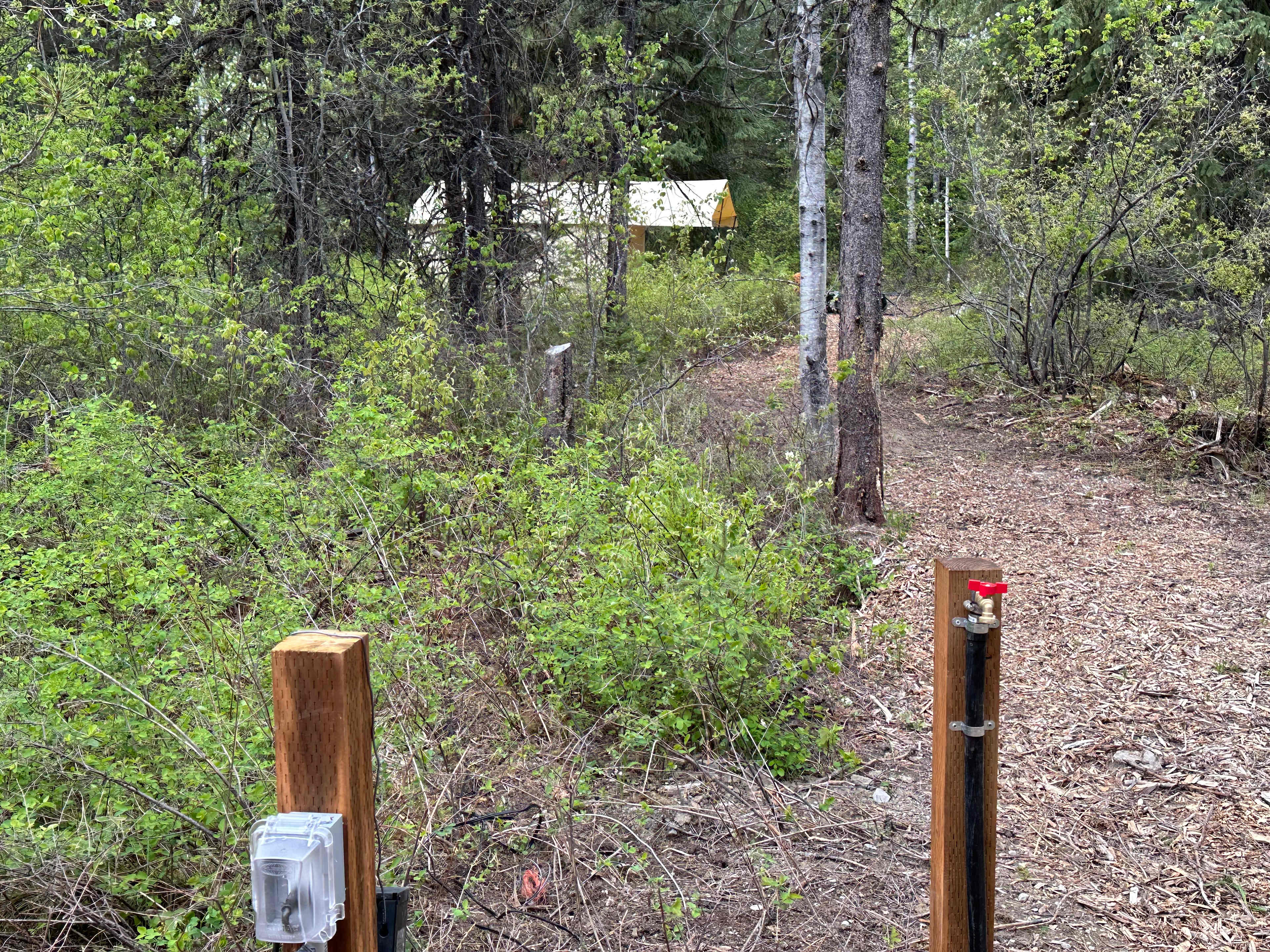 Picture of the site