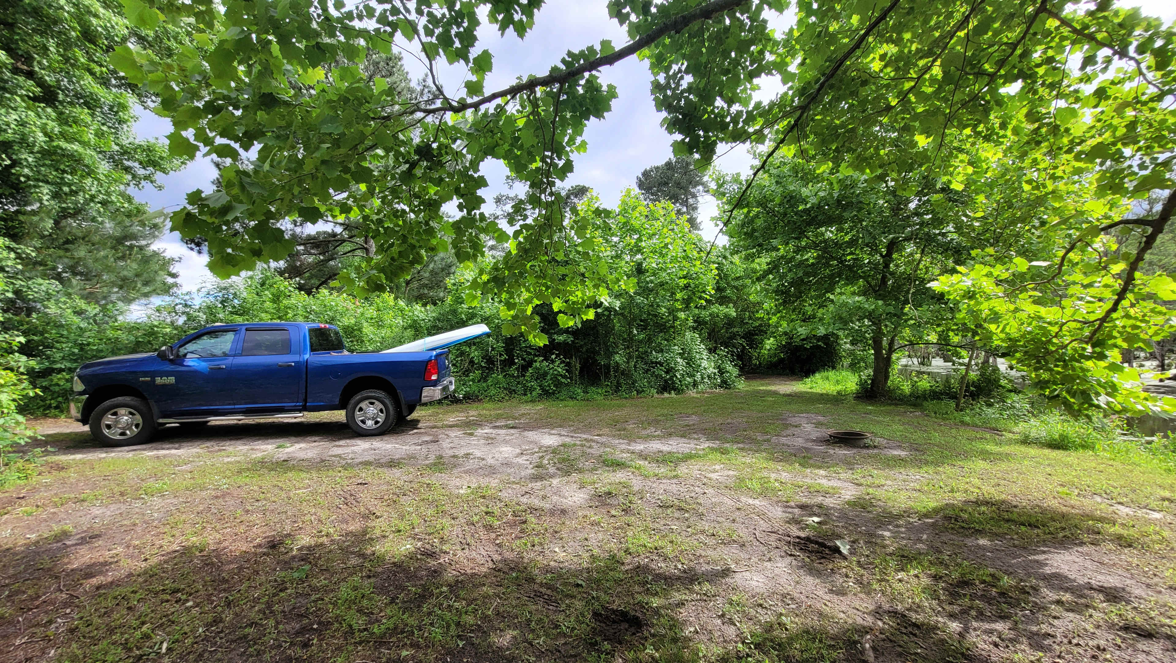 Picture of the site