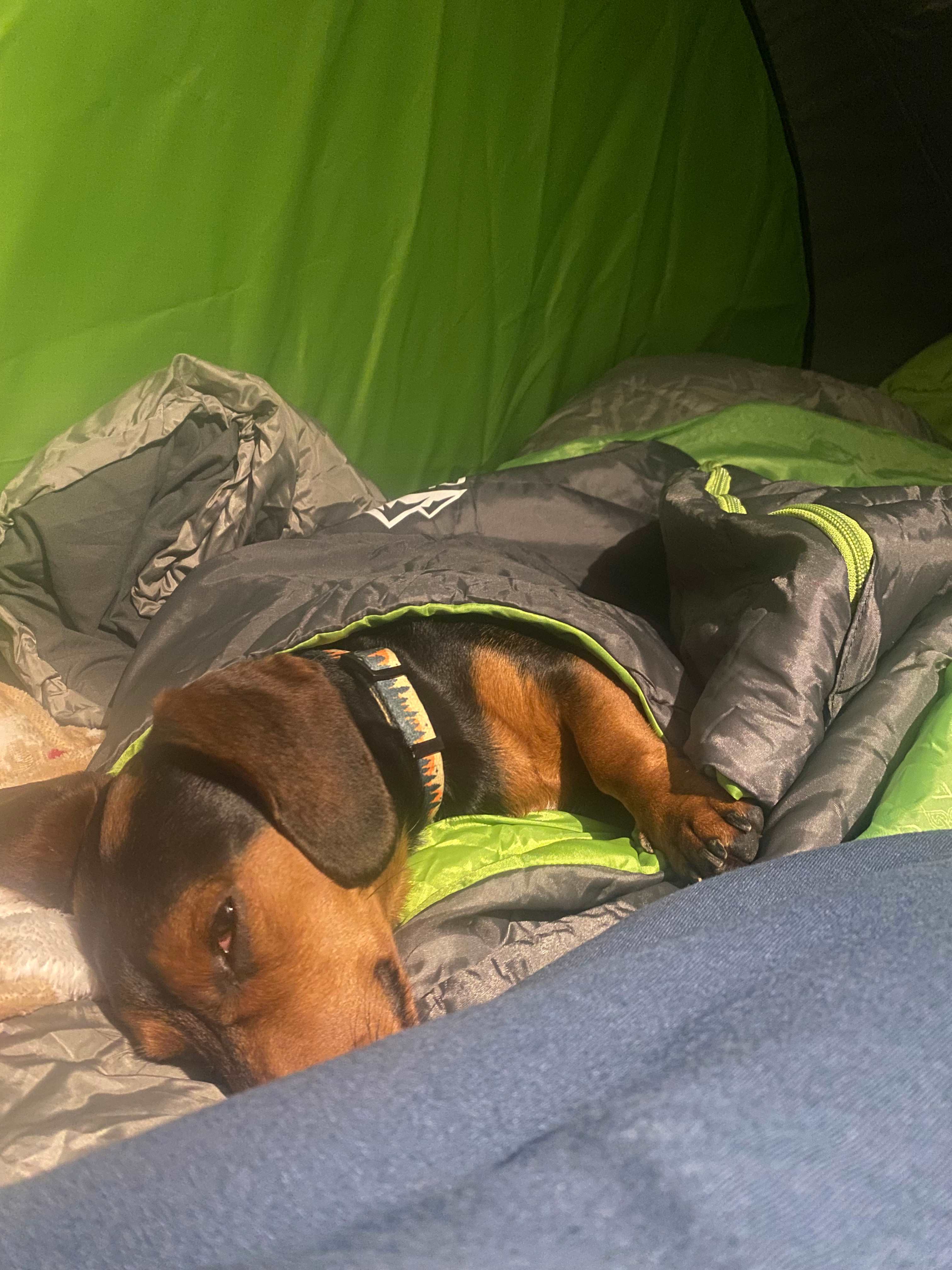 Plumtree Campground Tents & Cabins