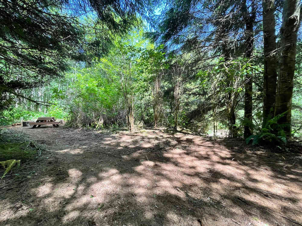 Picture of the site