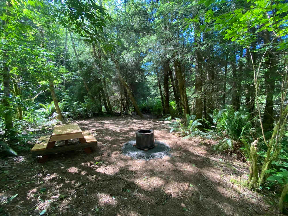 Picture of the site