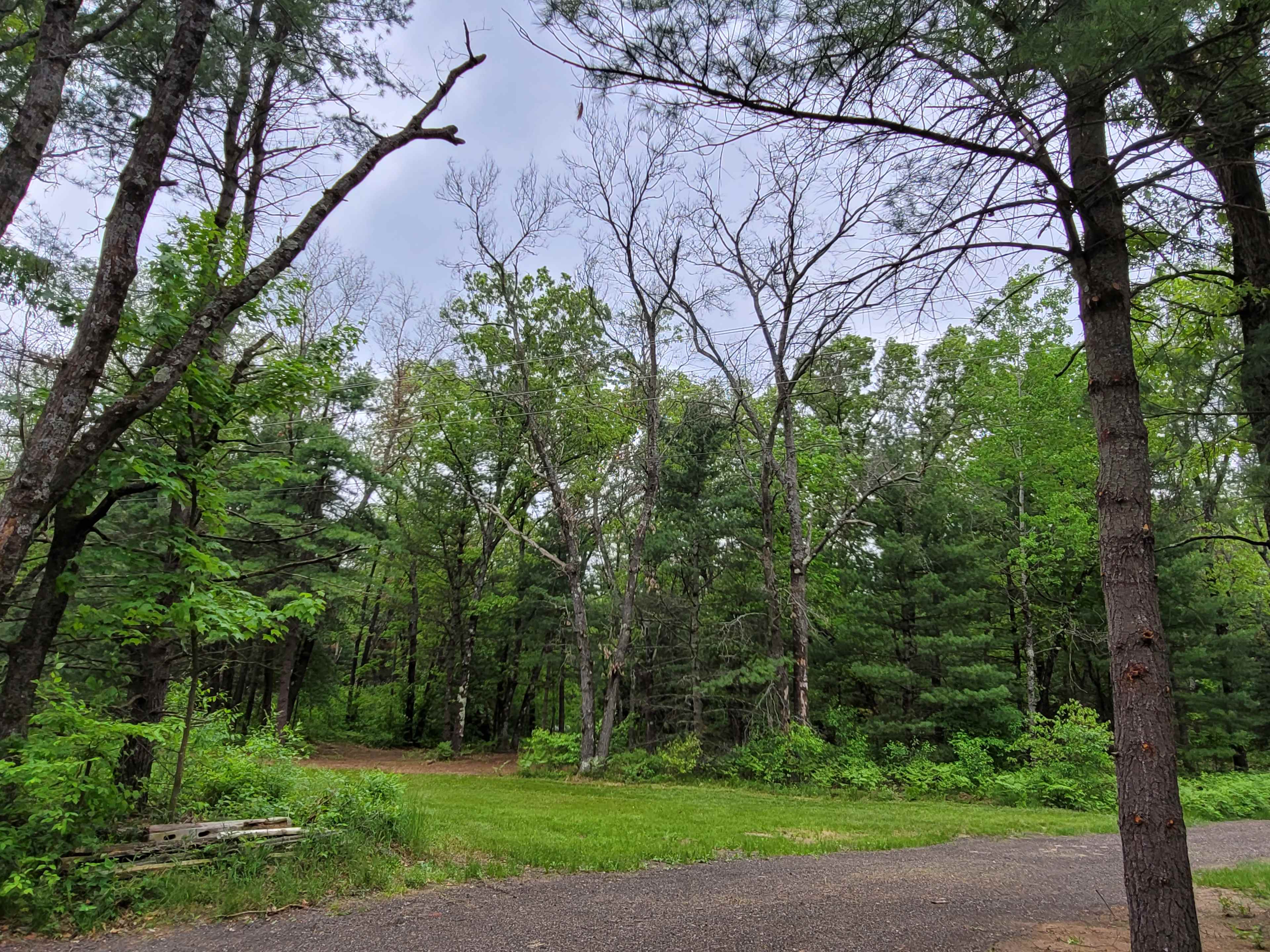 Trailerwood