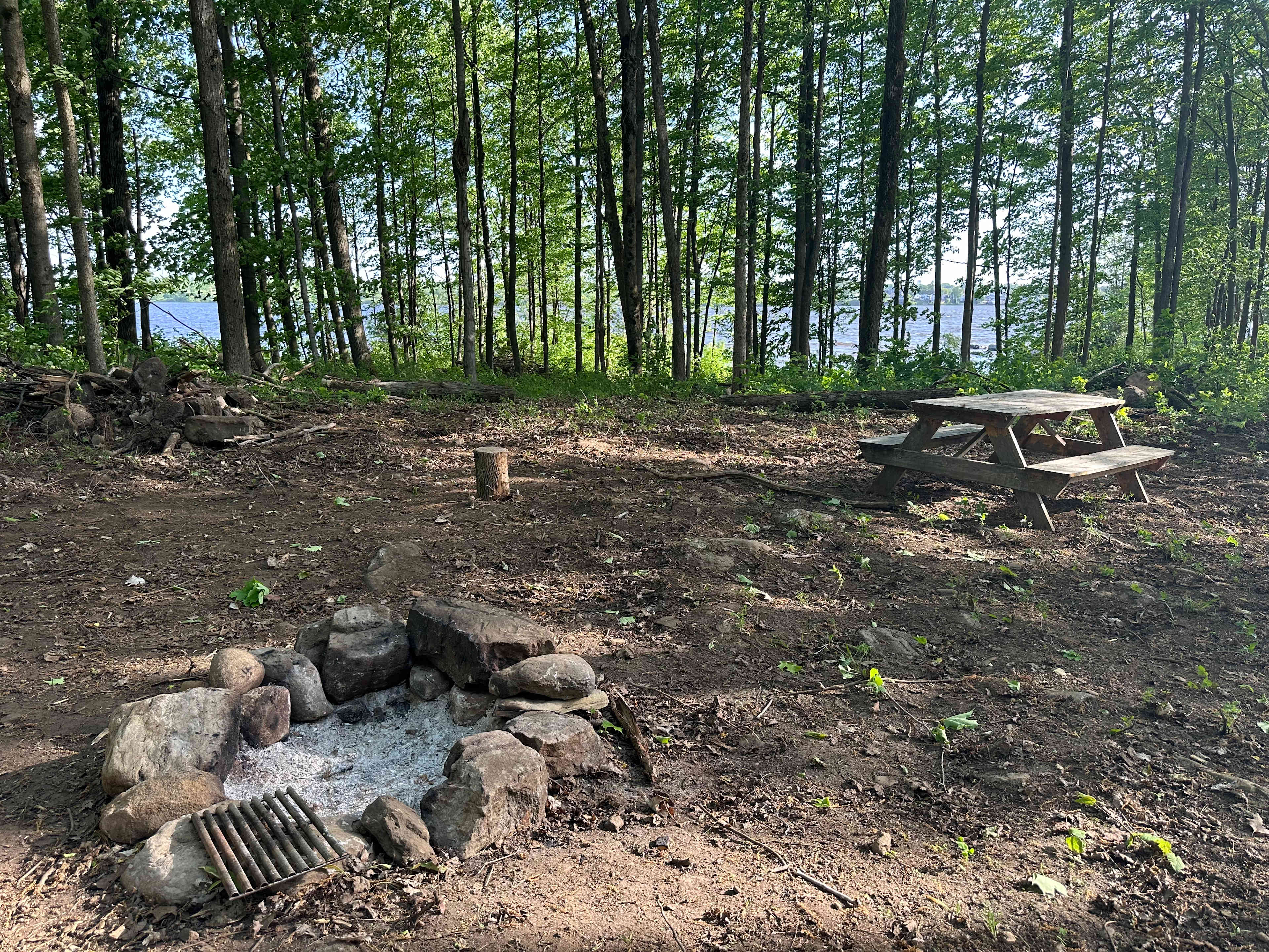 Picture of the site