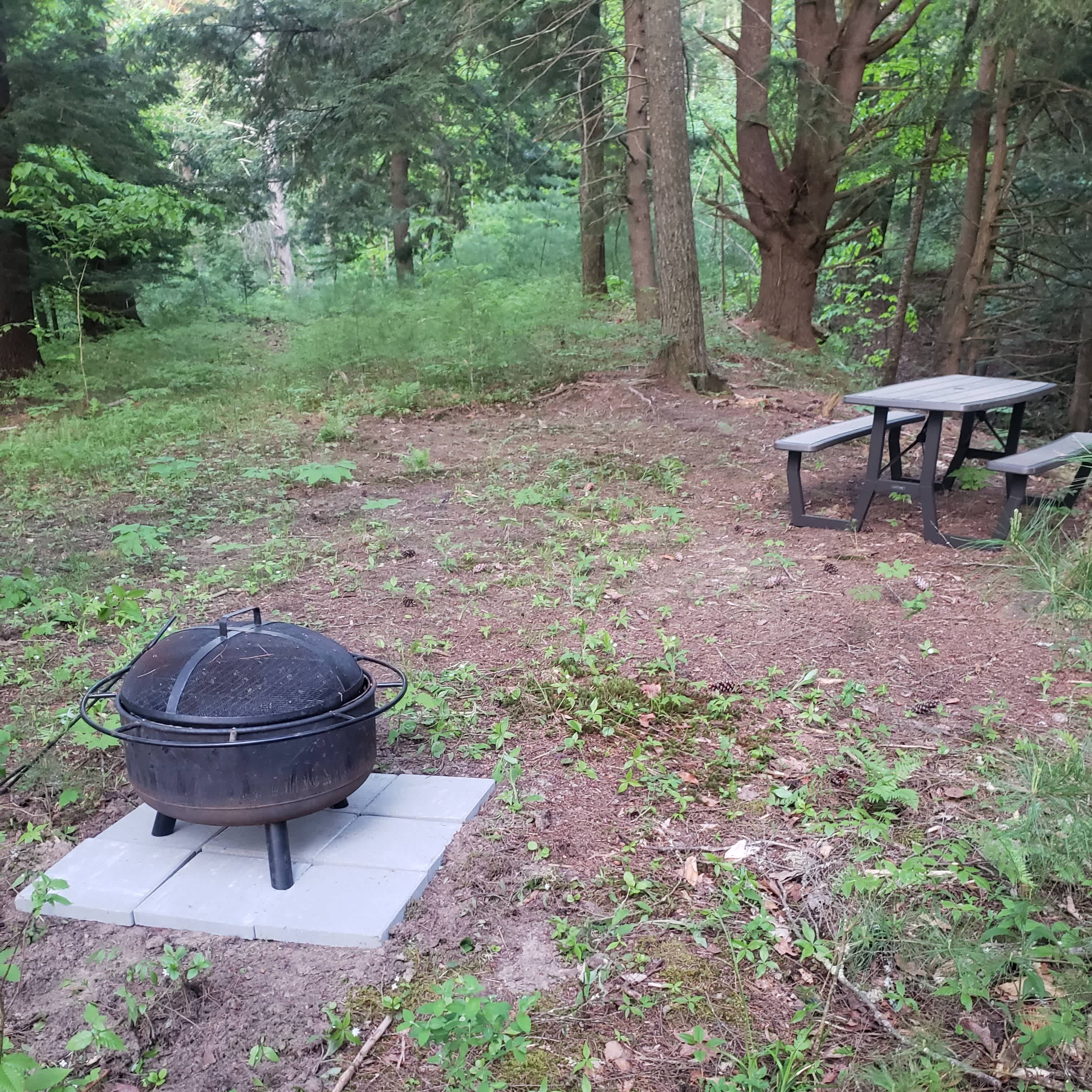 Picture of the site