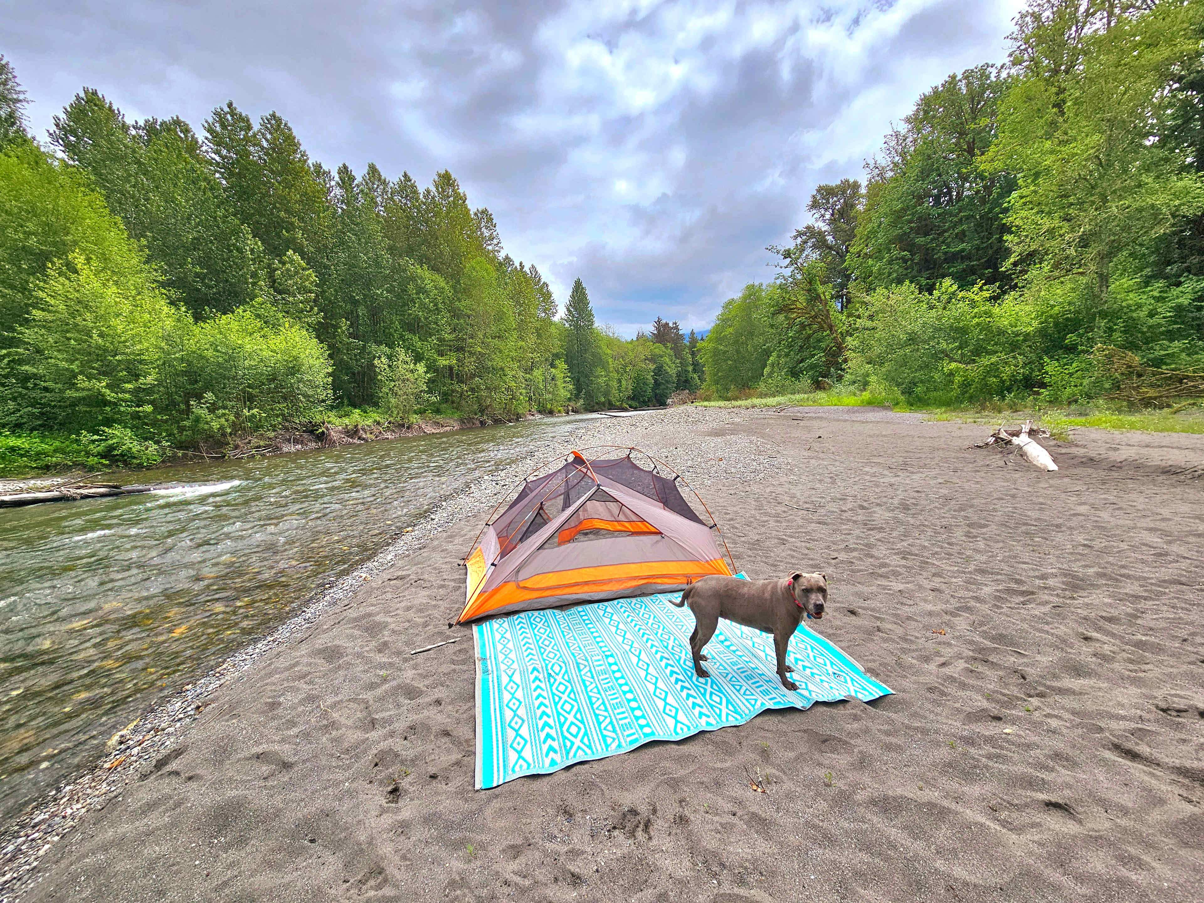 Camp We Nap