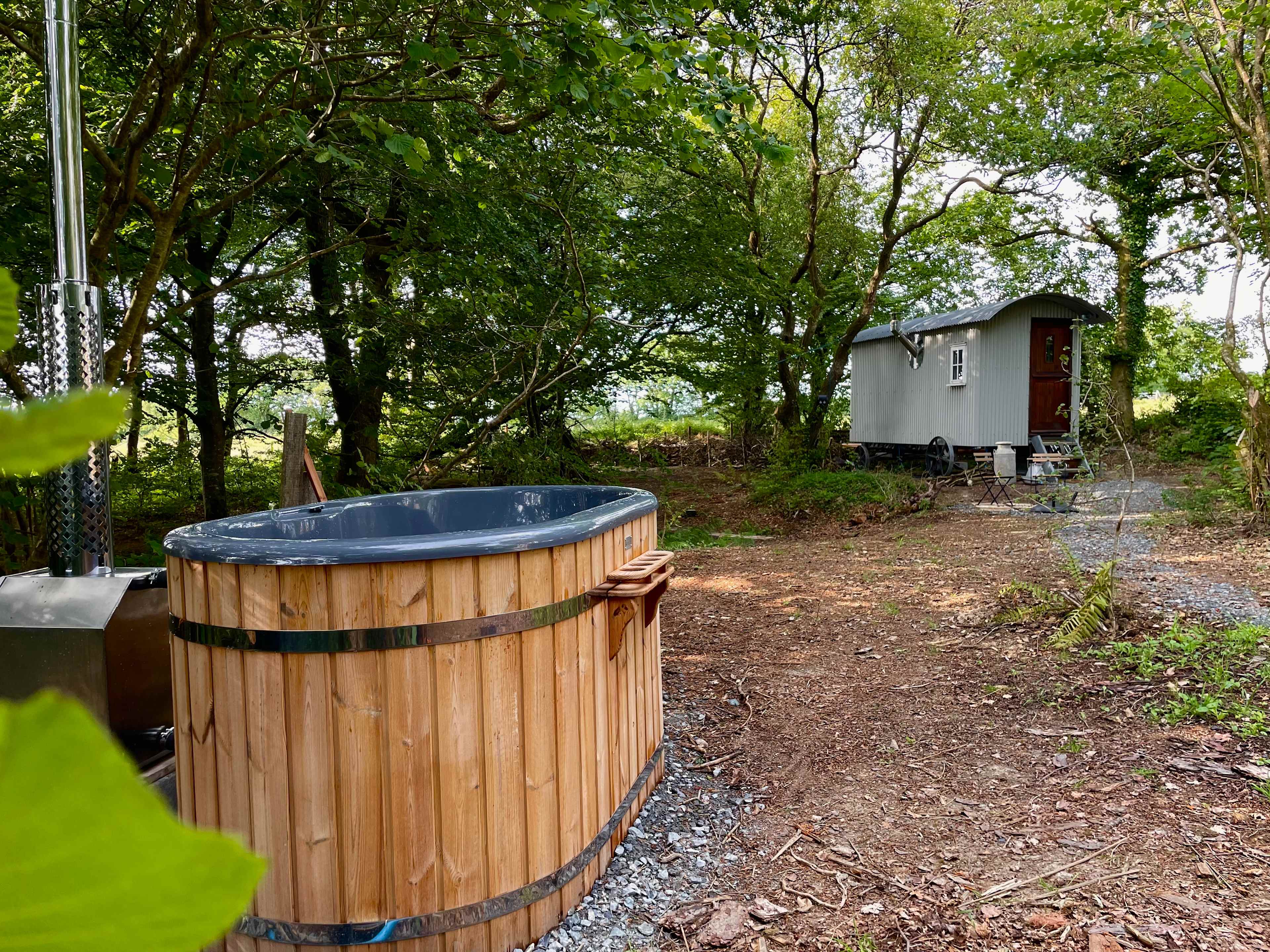 Private woodland in a shepherds hut