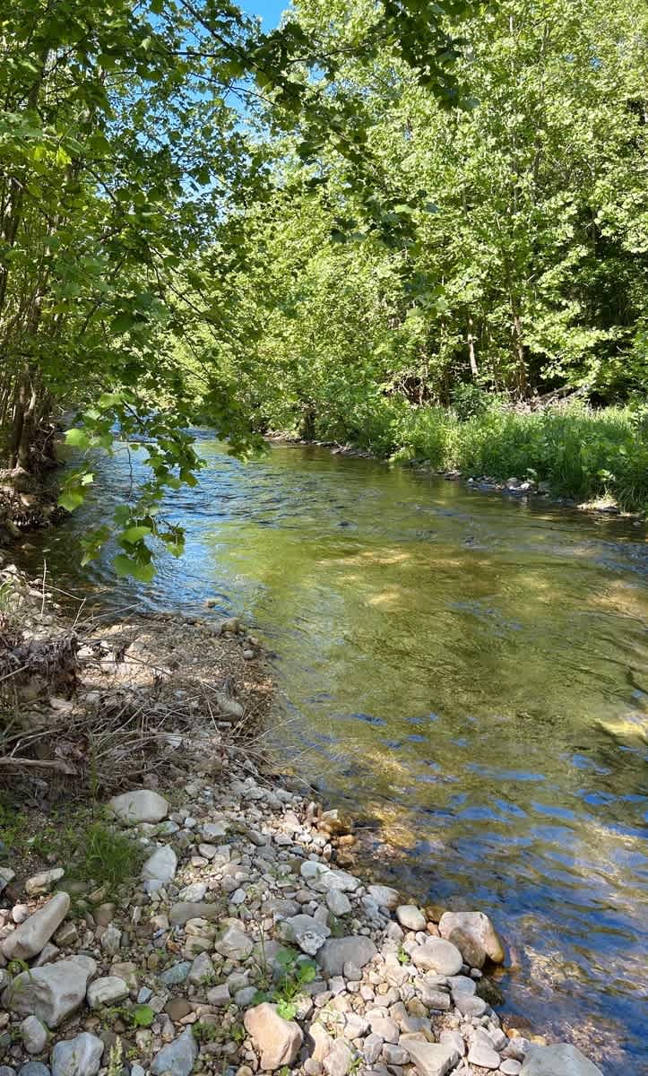 Swedish Lilac Campground & Events
