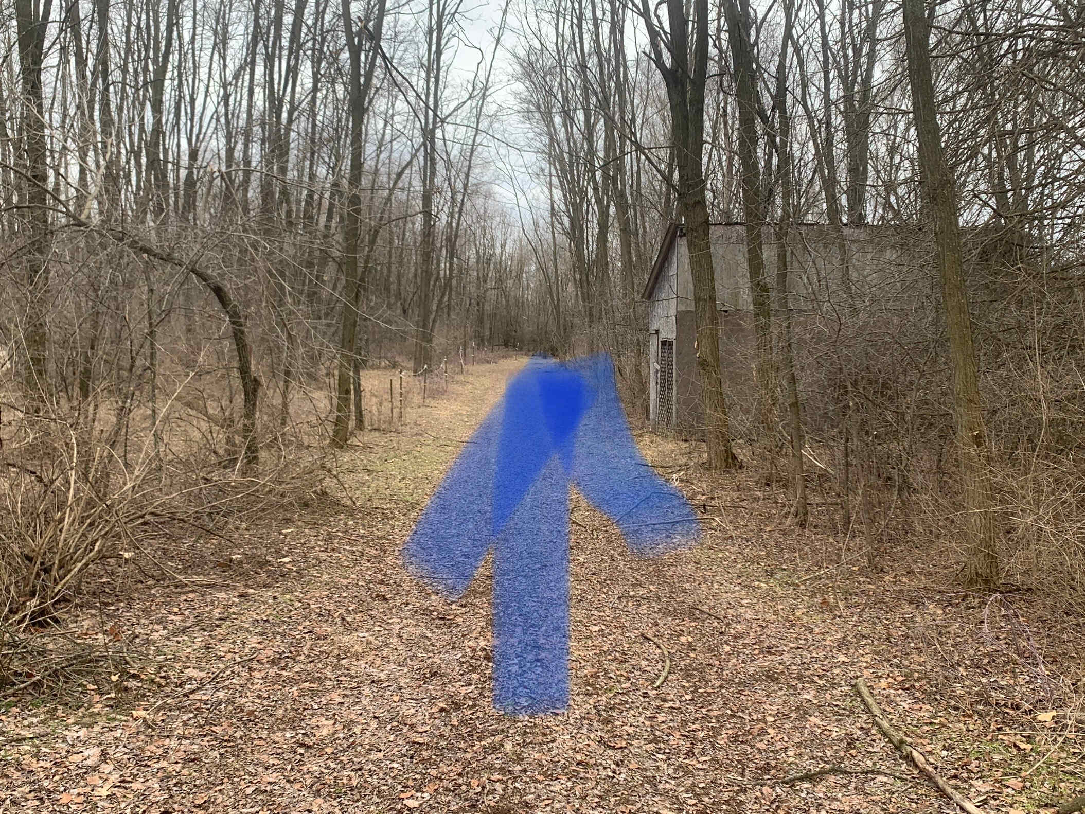 Picture of the site