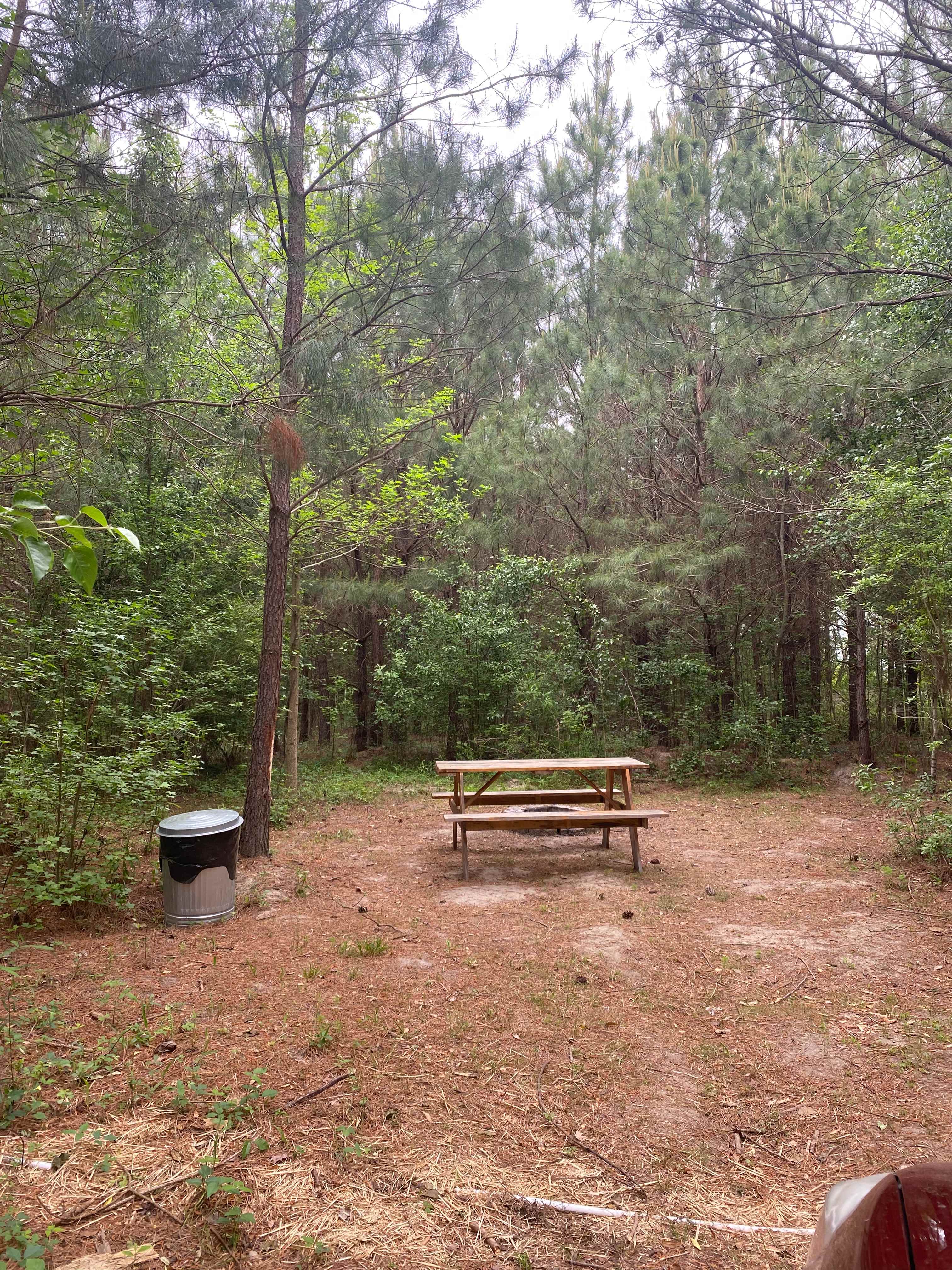 Picture of the site