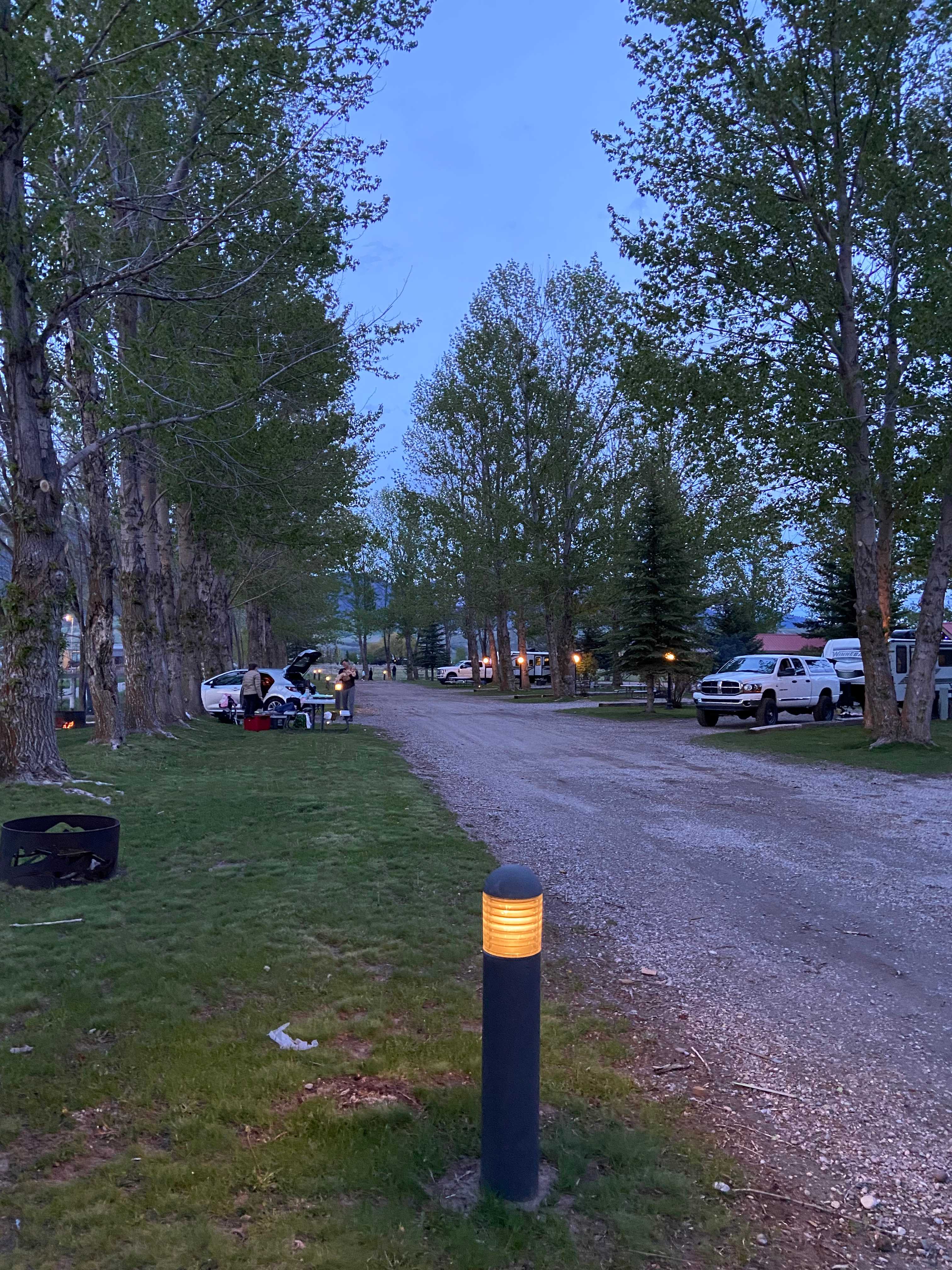 Picture of the site