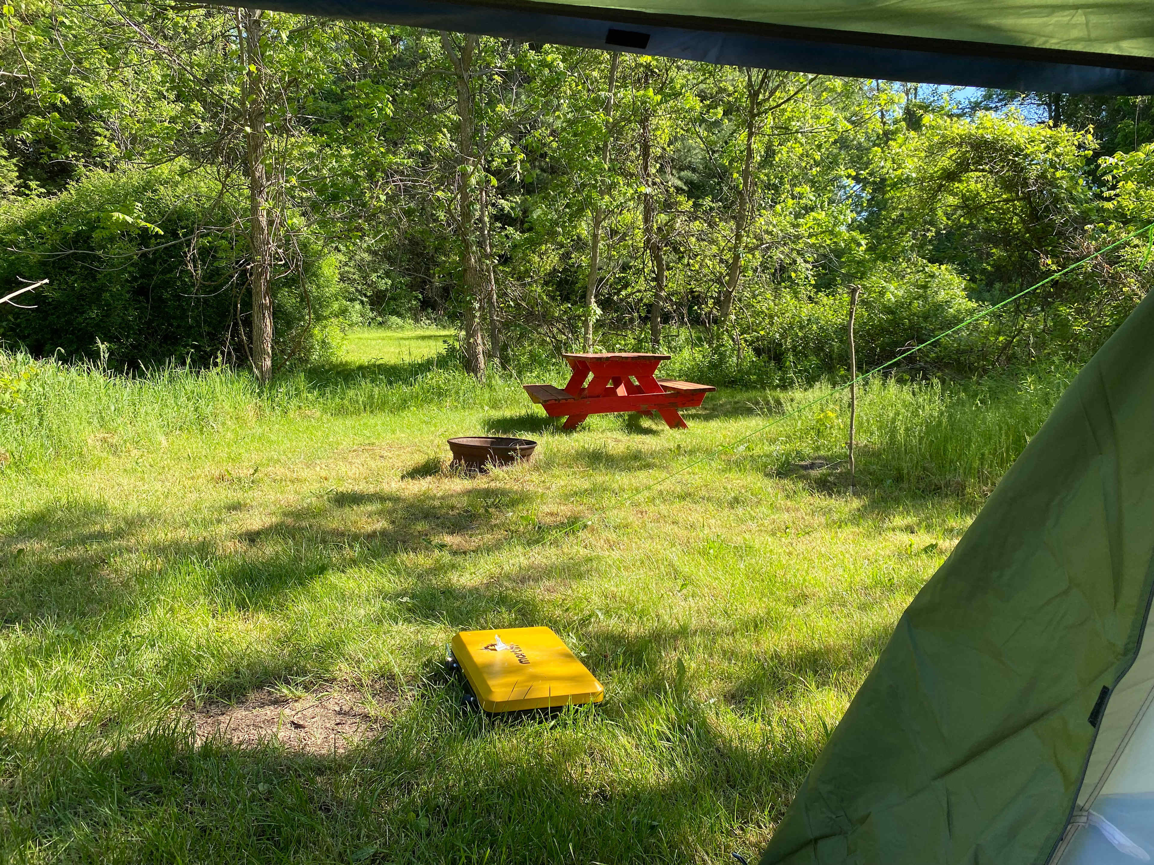 Picture of the site