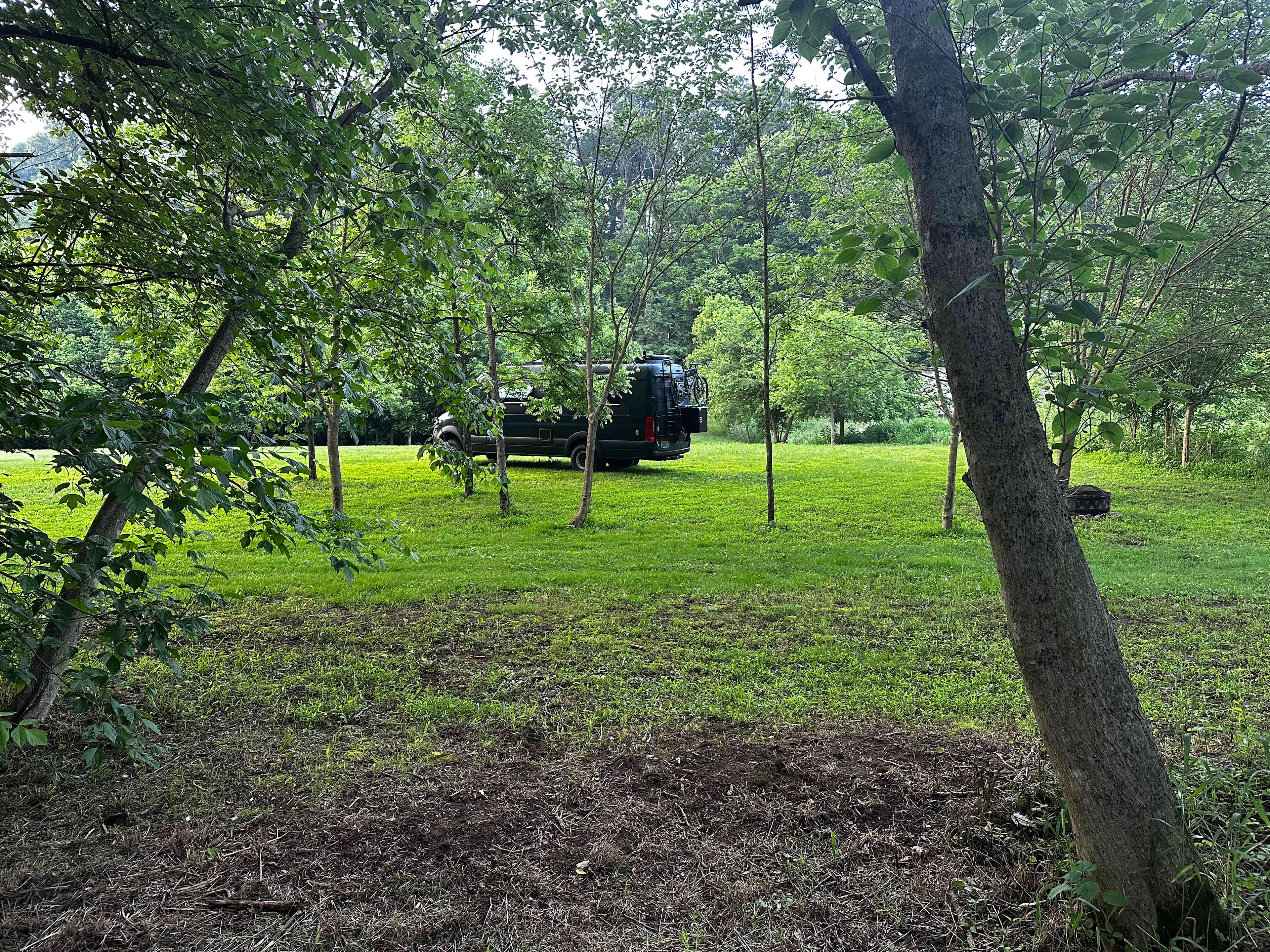 Picture of the site
