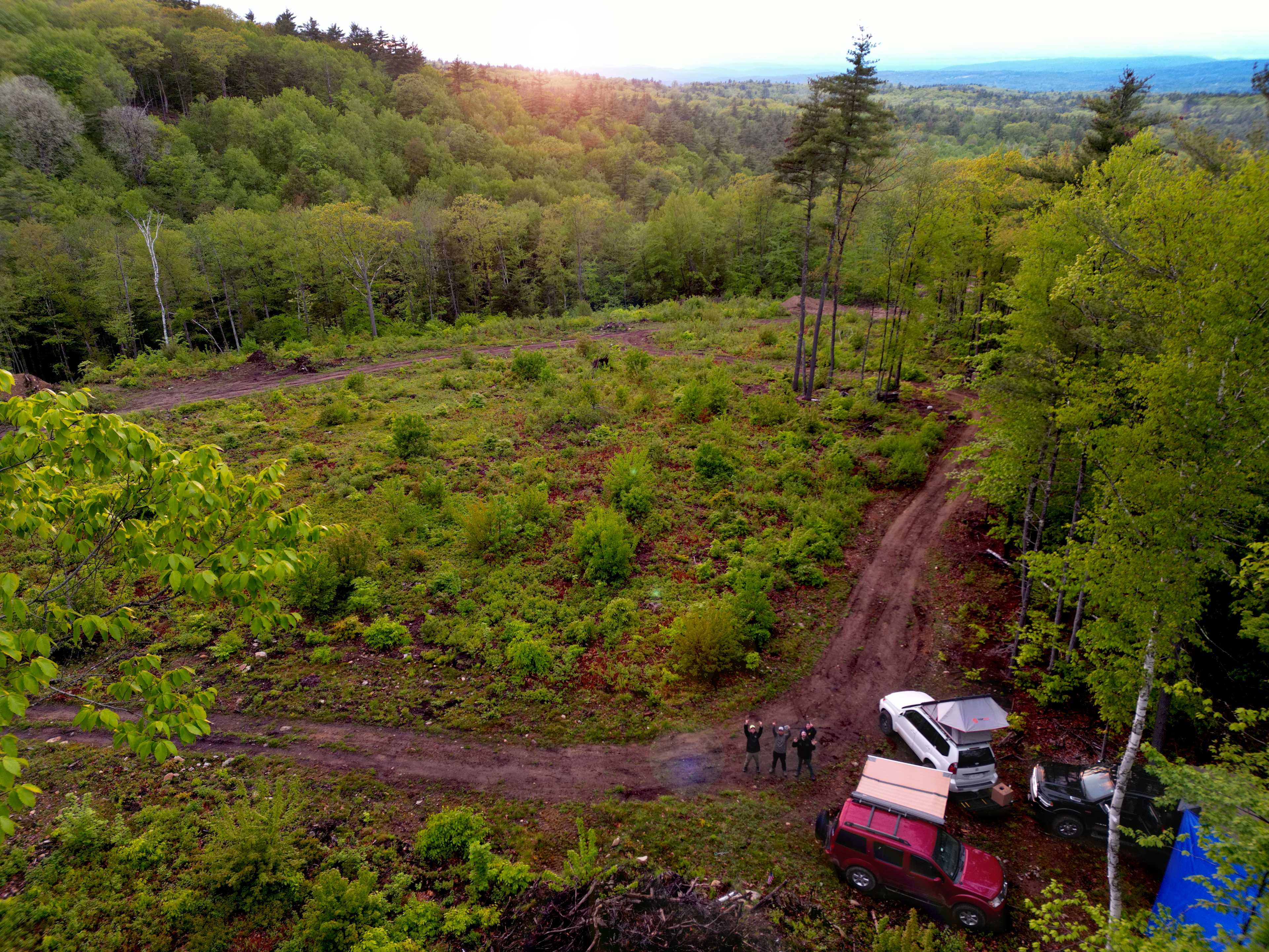 Picture of the site