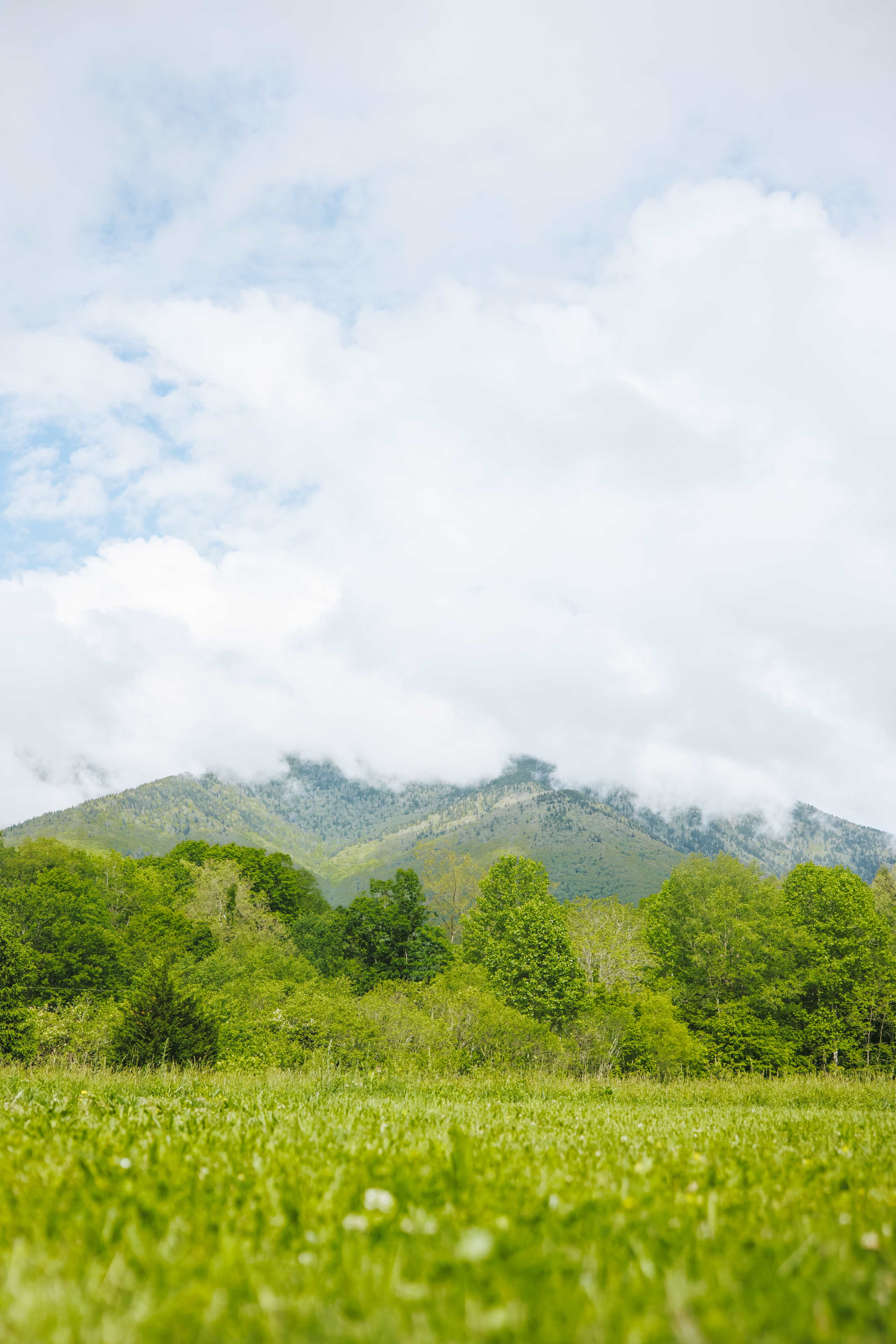 The view from your site. 
