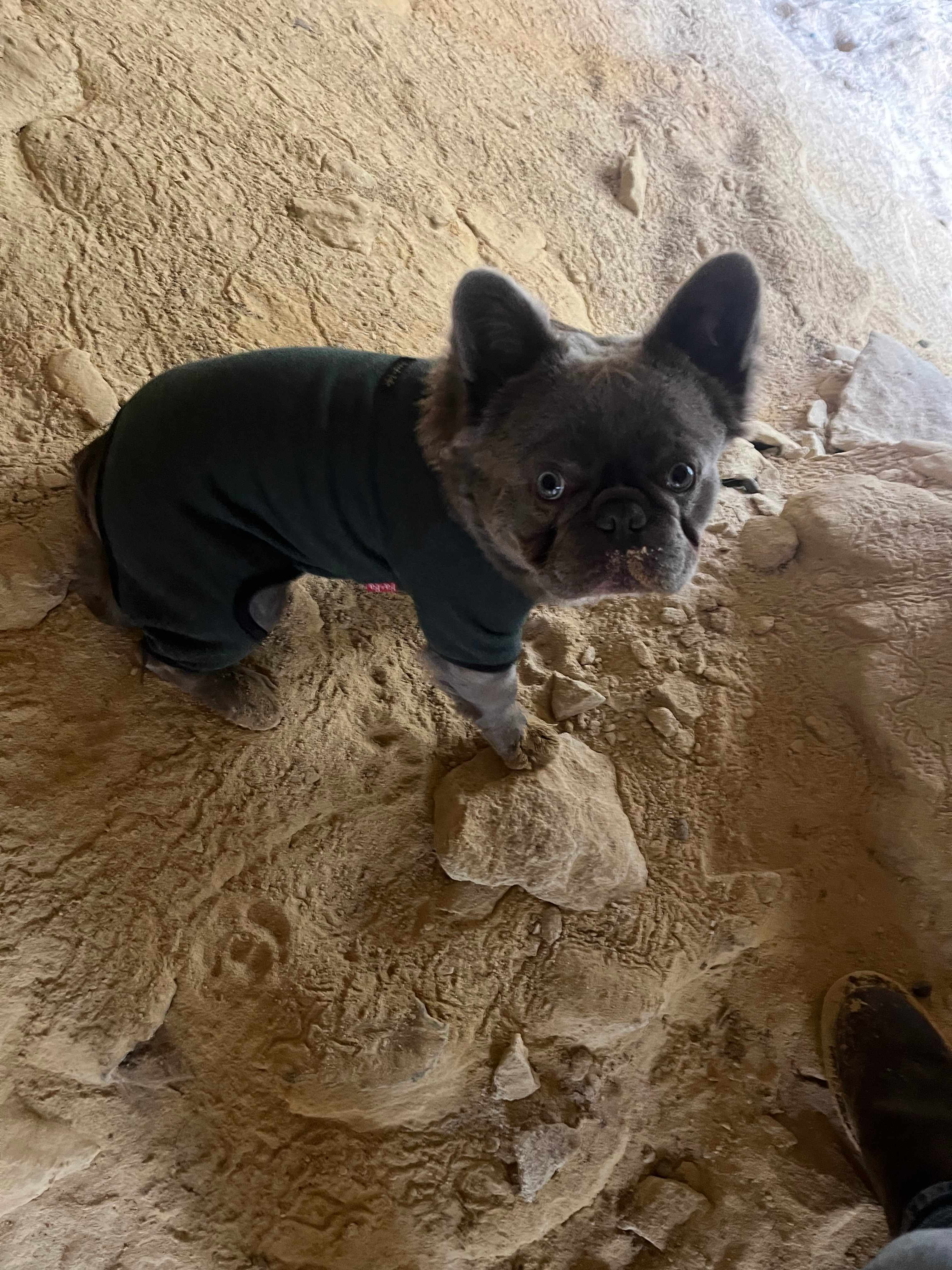 My camping Buddy 