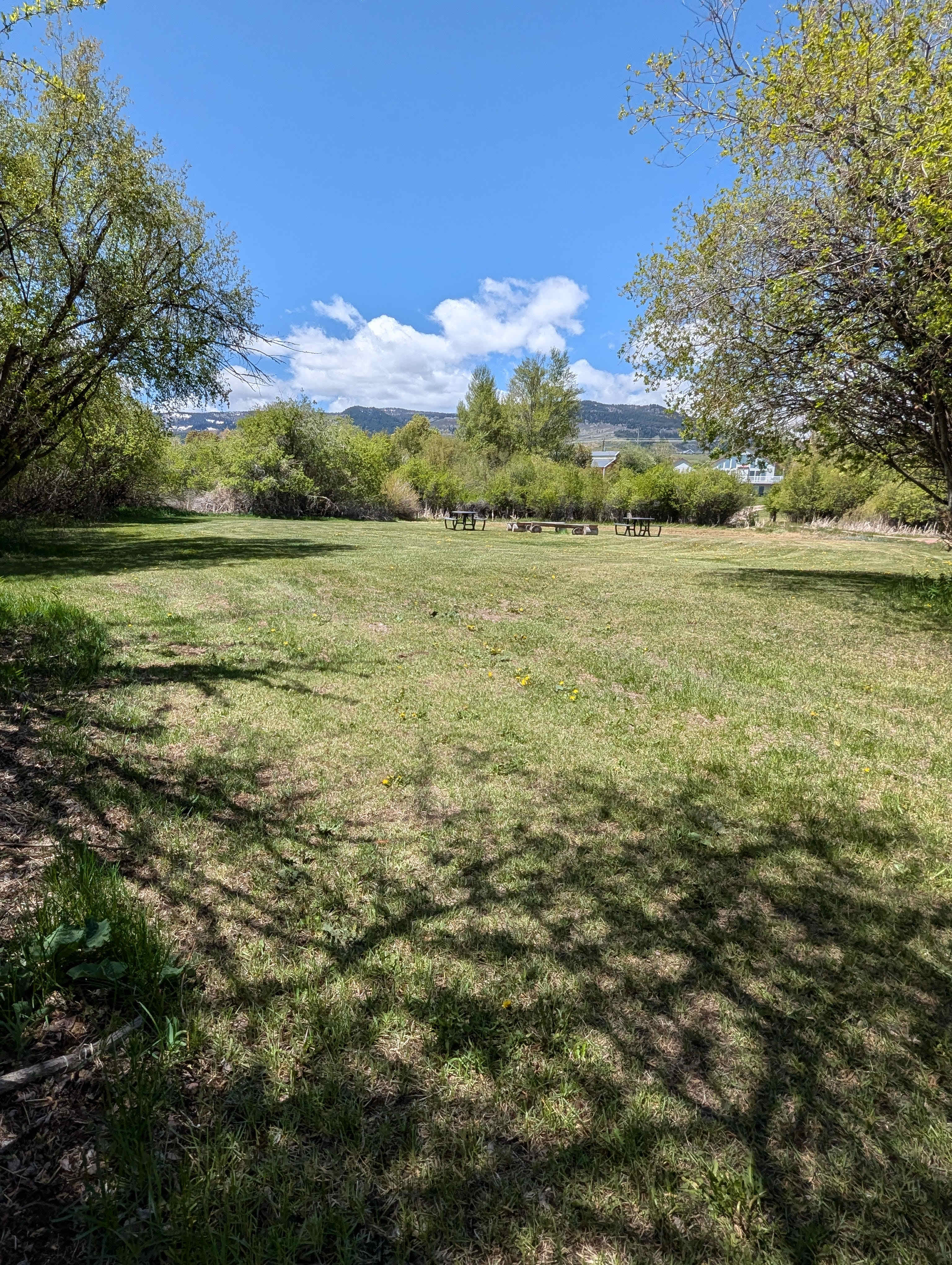 Bear Lake Camping - Top Meadow