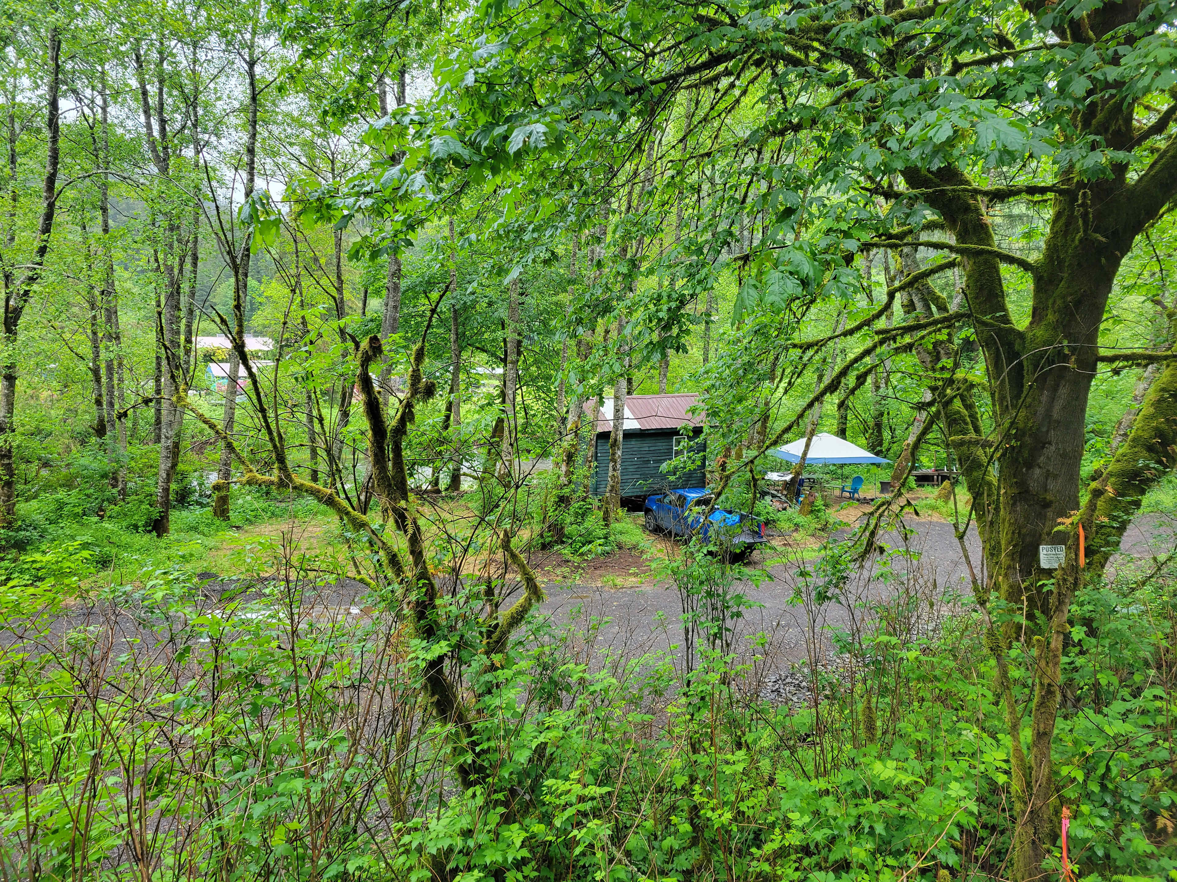 Picture of the site