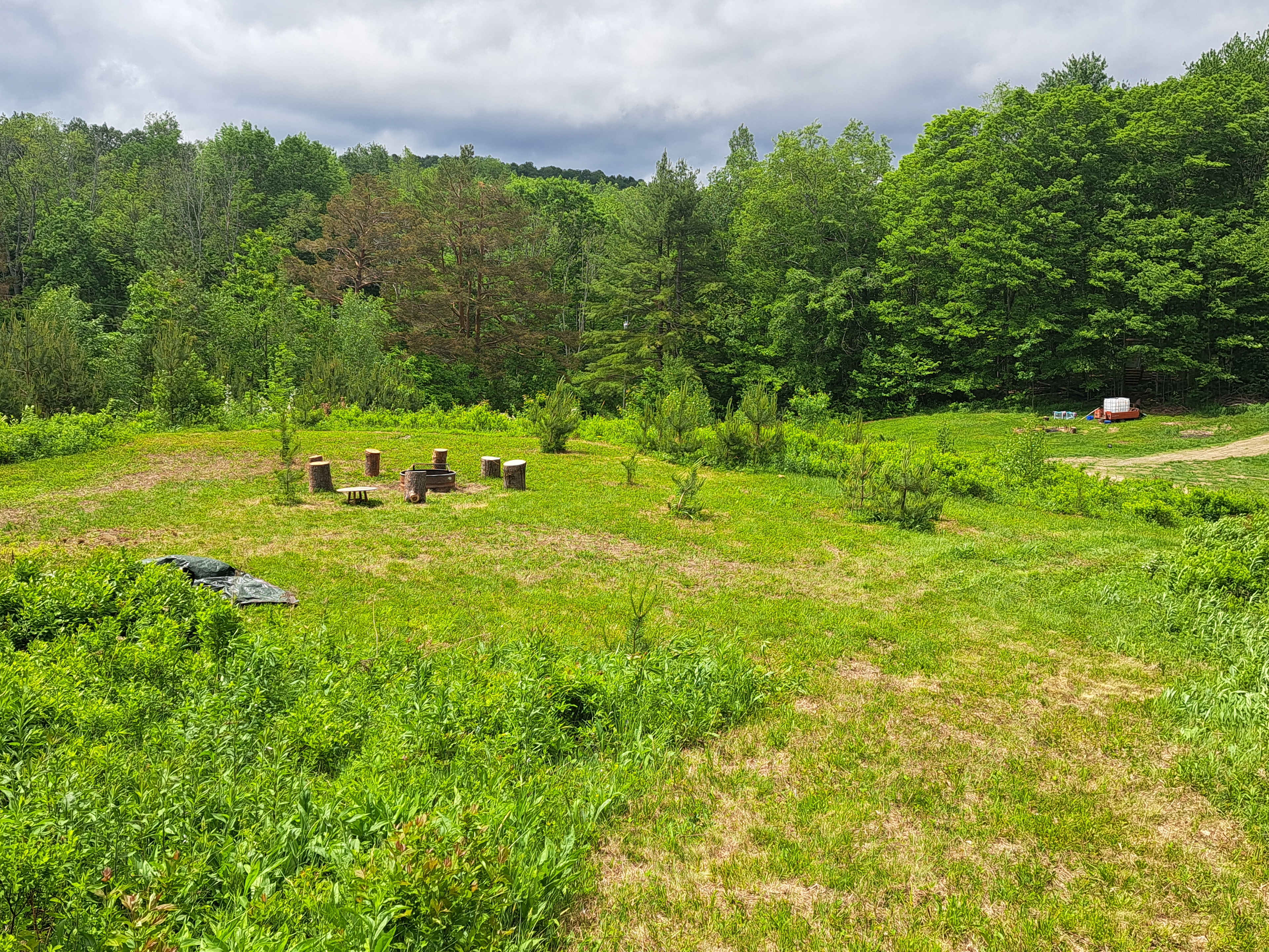 Picture of the site