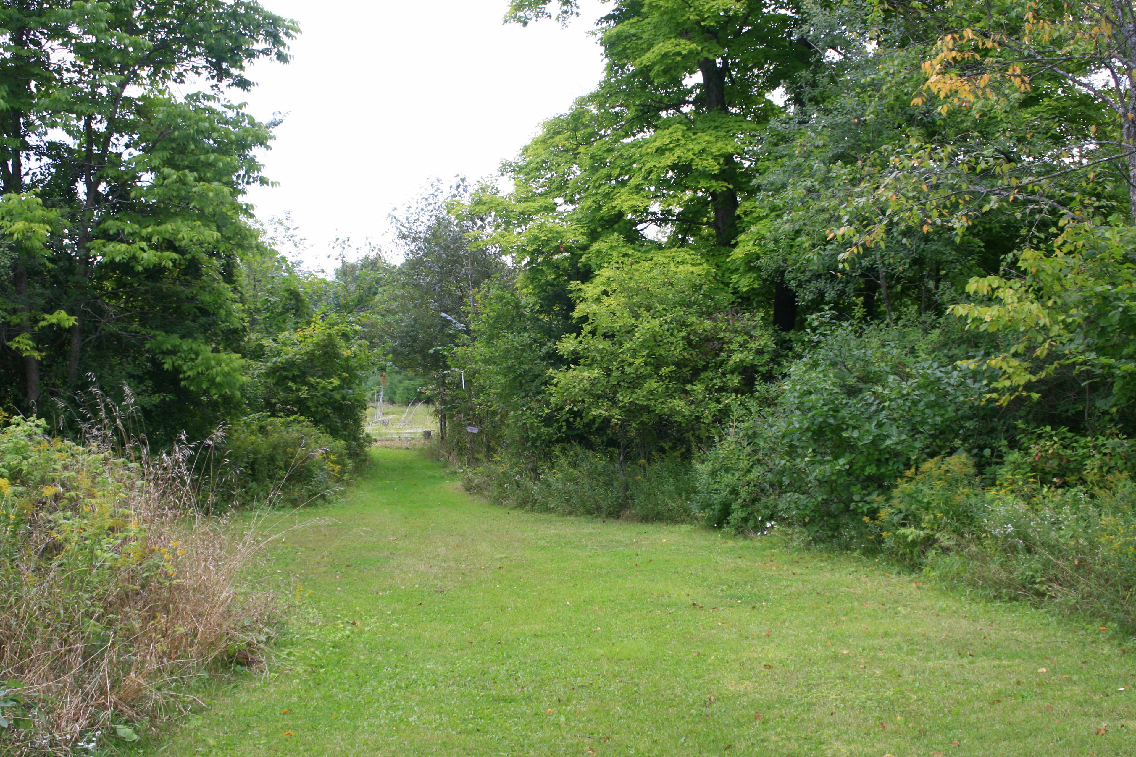 Well maintained trails.