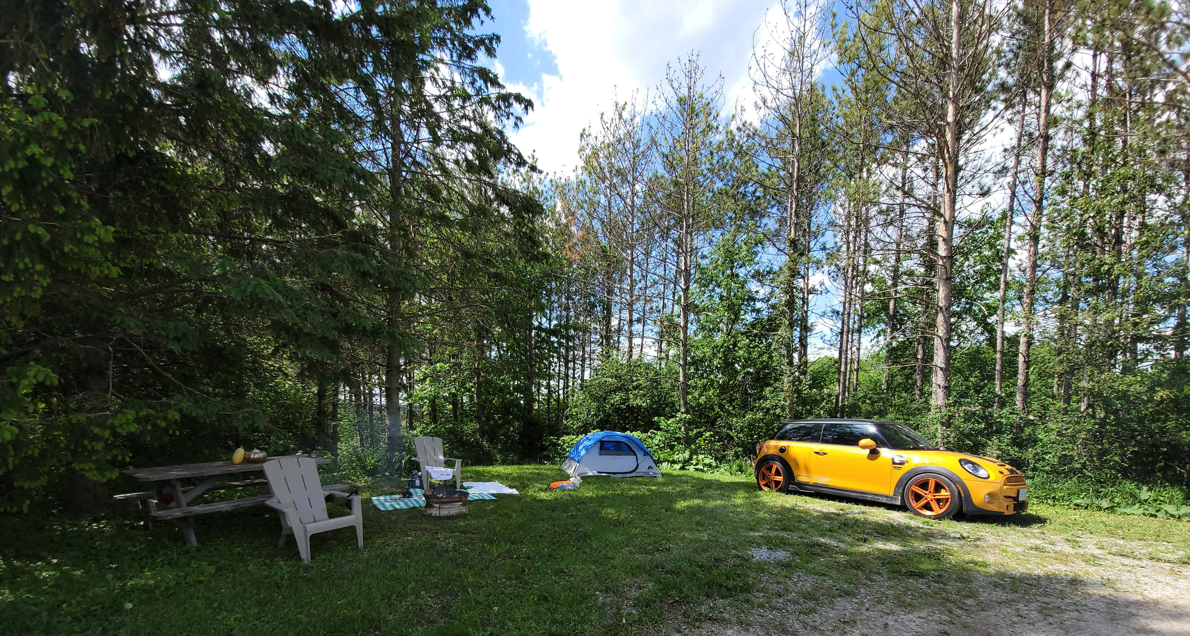 Picture of the site