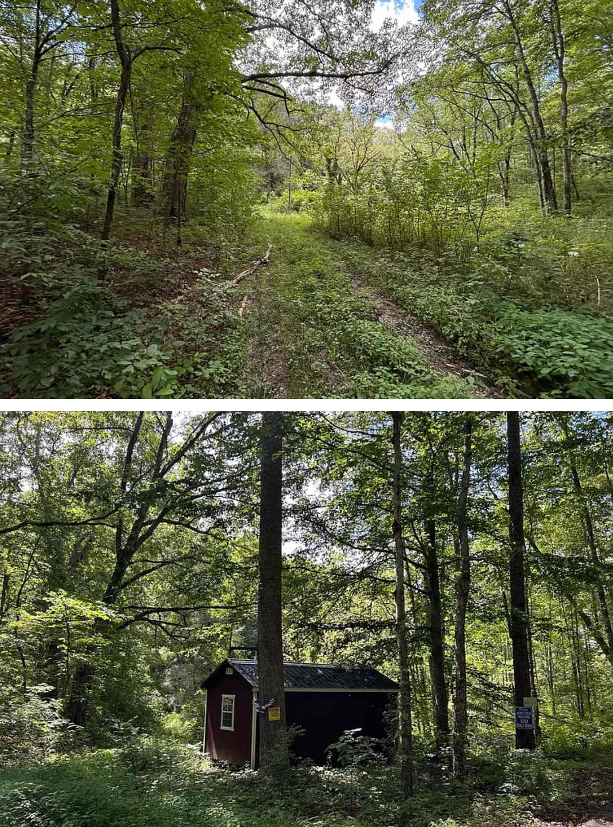 Patchouli Farm’s Primitive Retreat