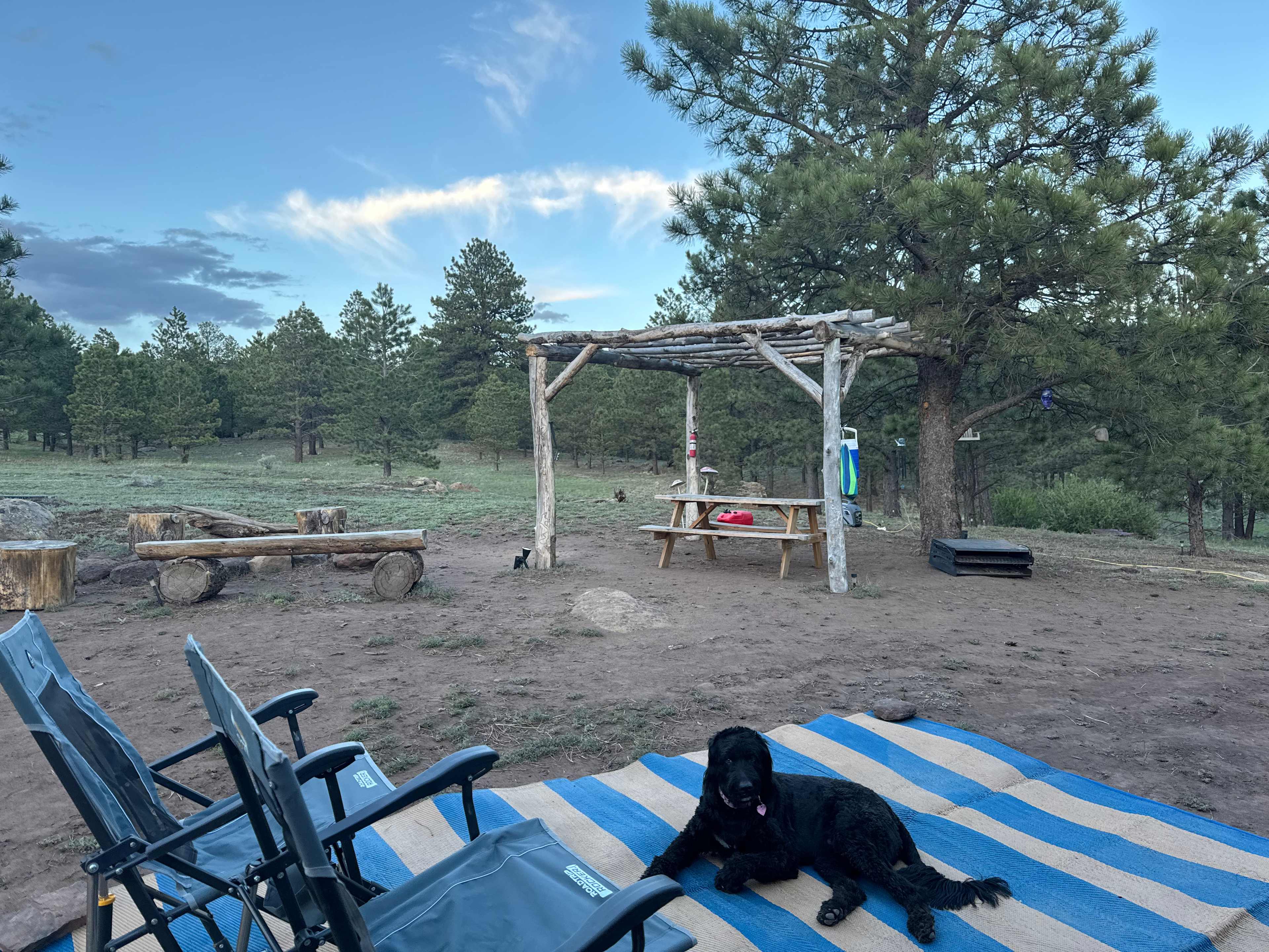 Picture of the site