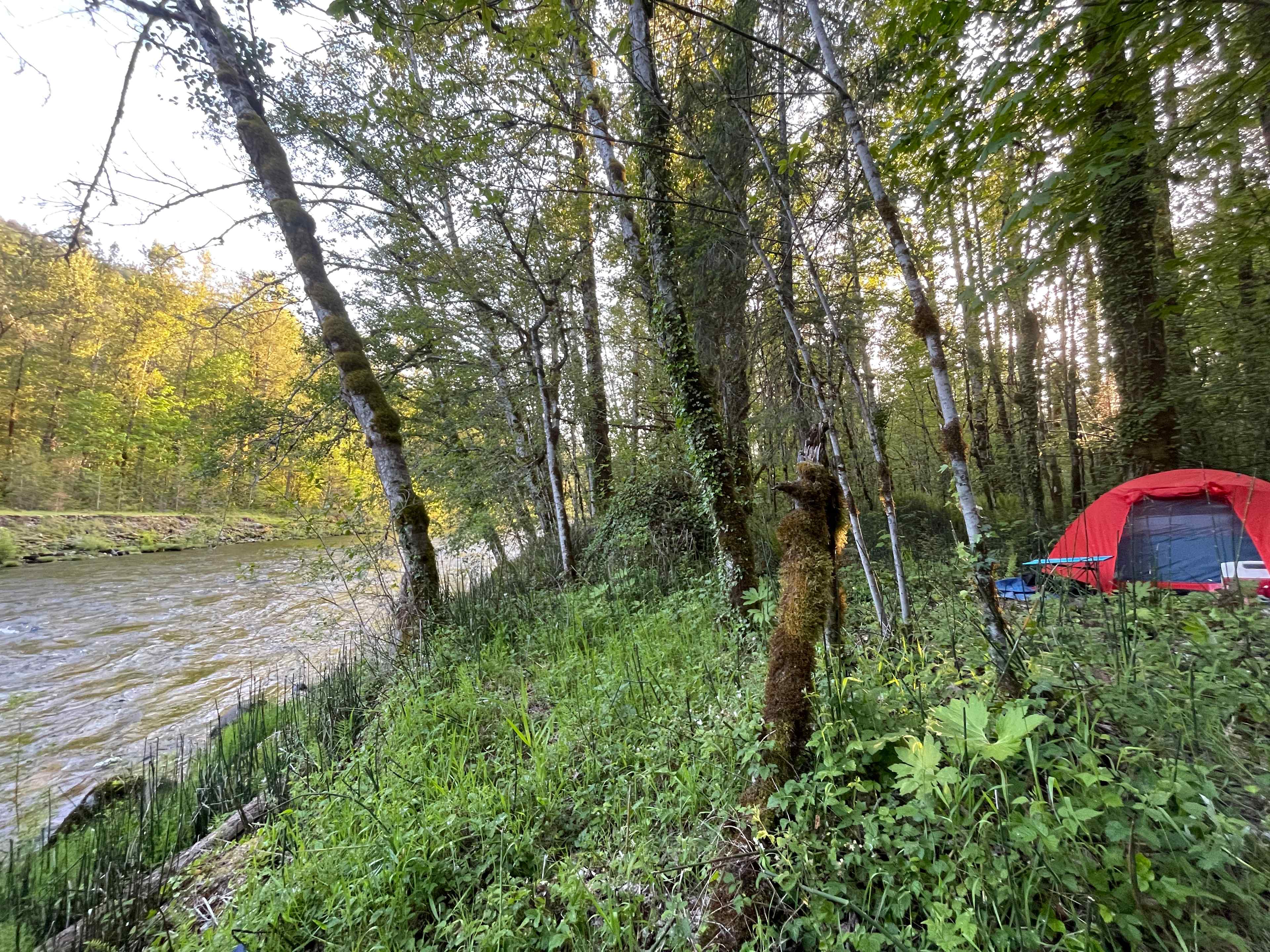 Picture of the site