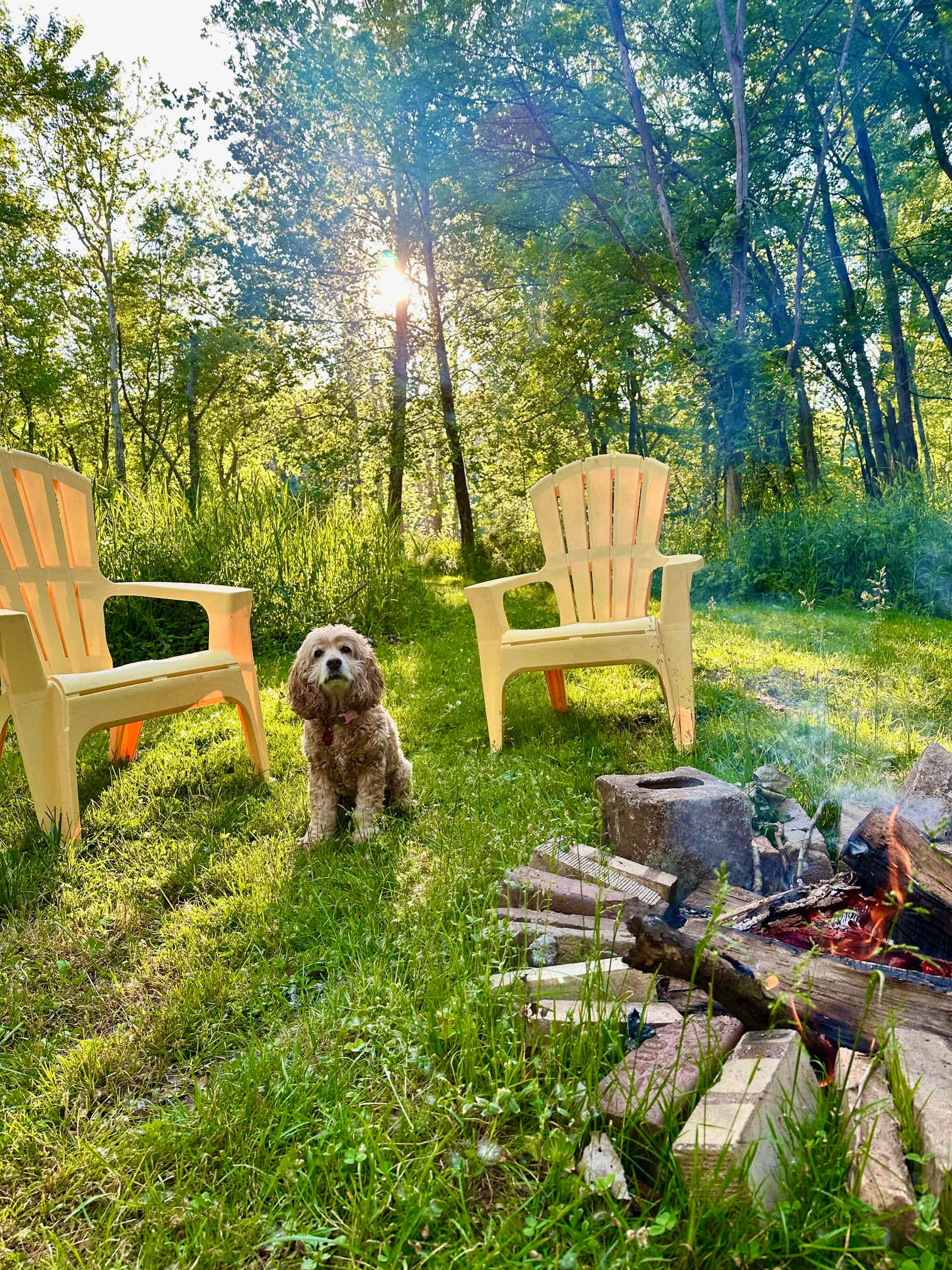 Riverside retreat