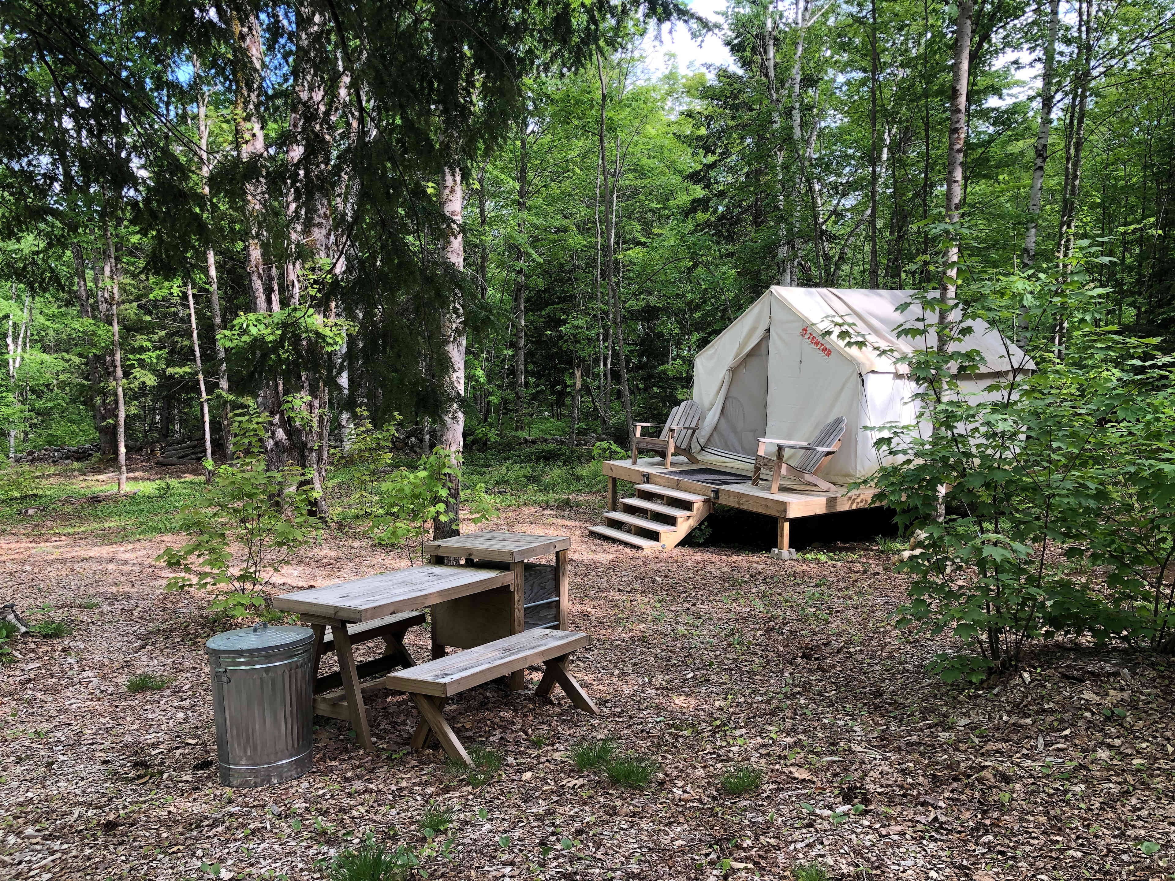 Picture of the site