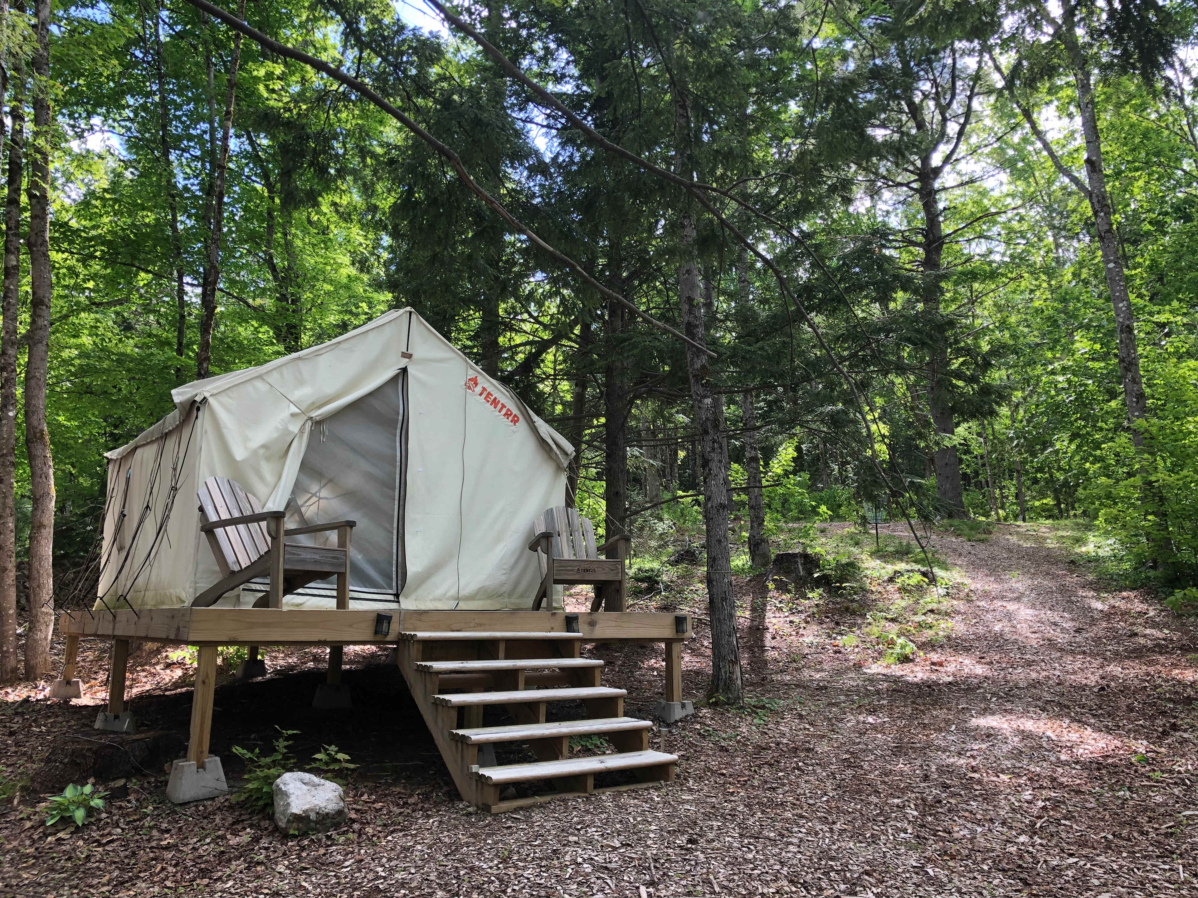 Picture of the site