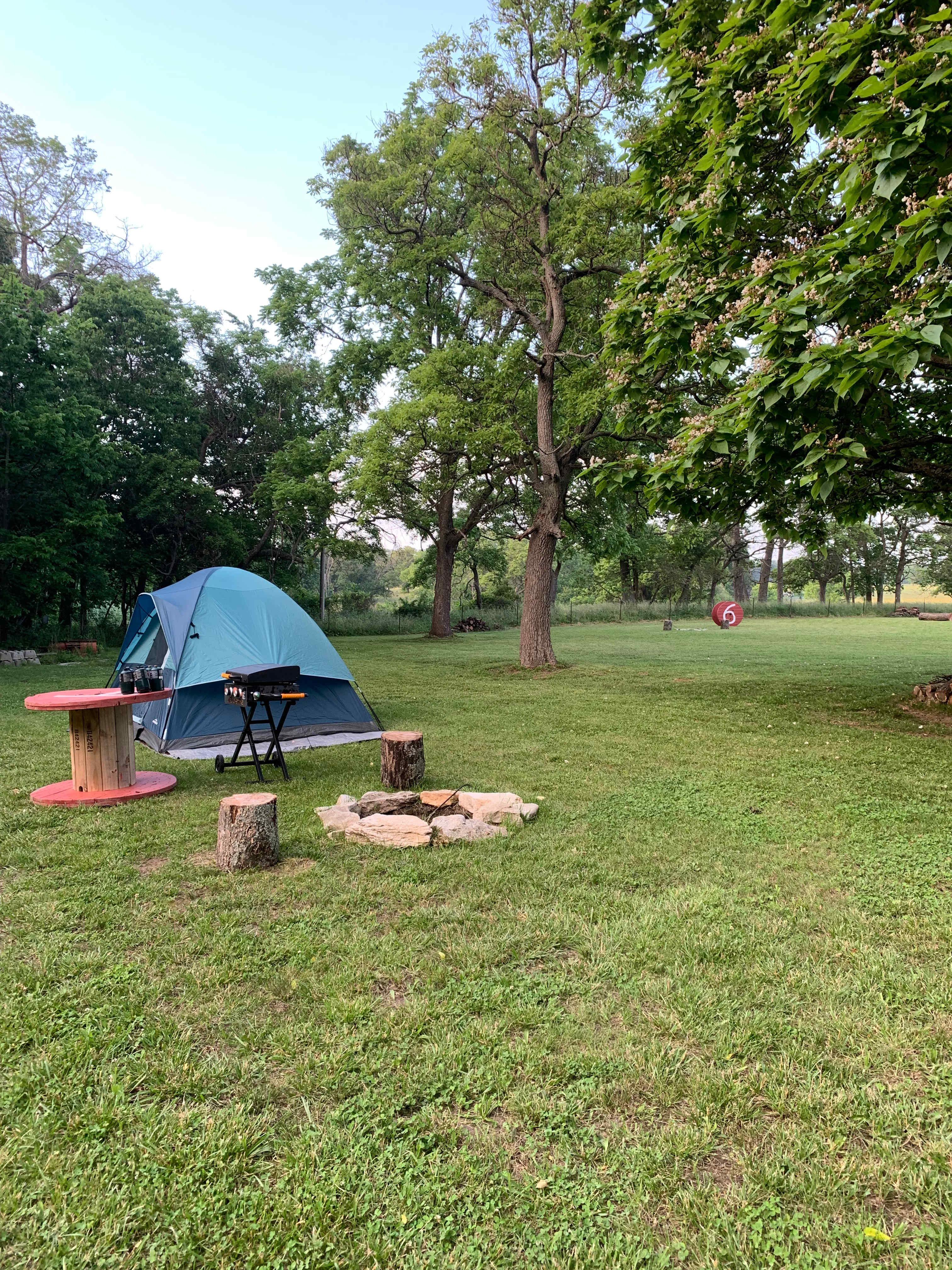 Picture of the site