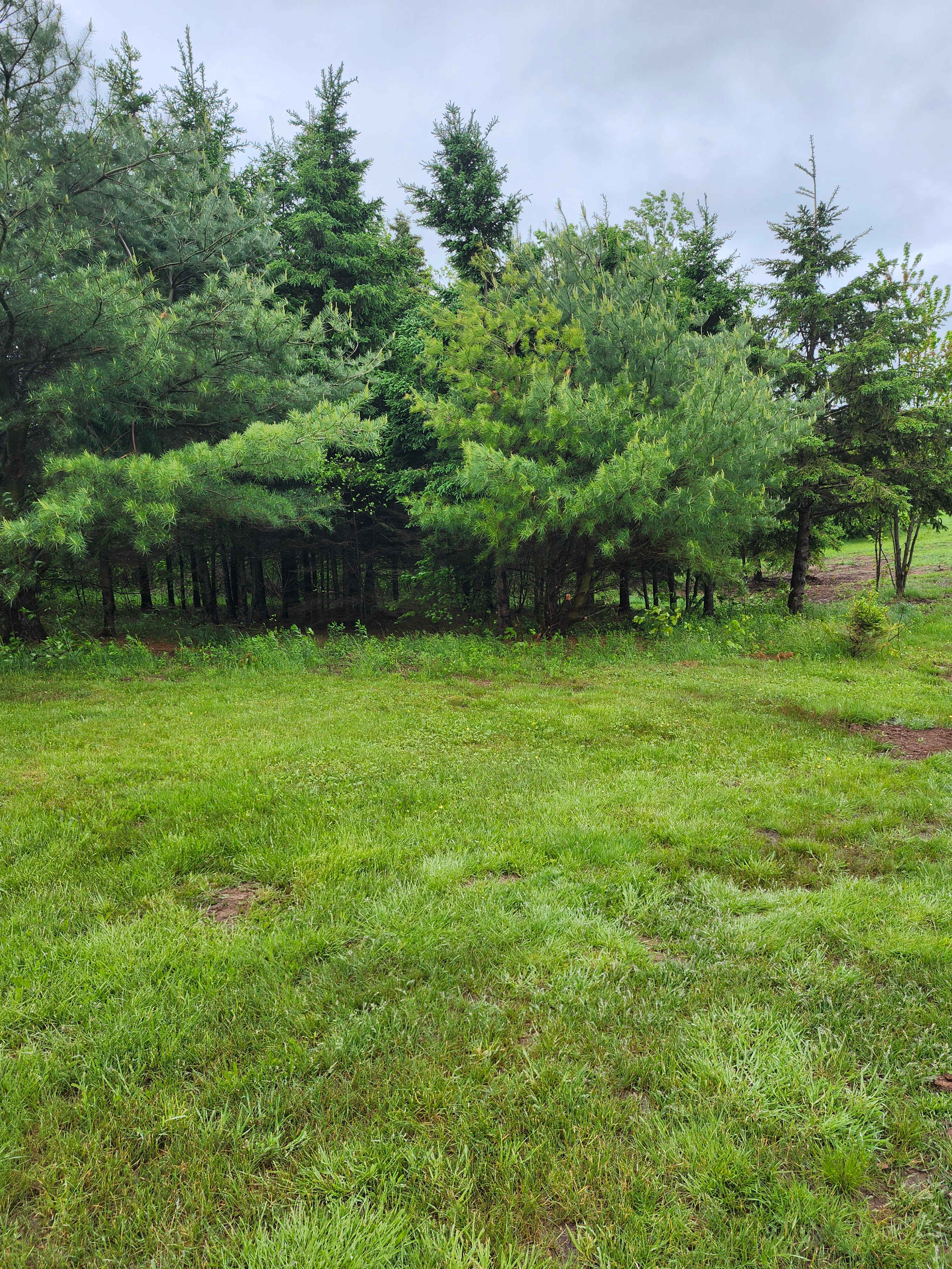 Peaceful Acres
