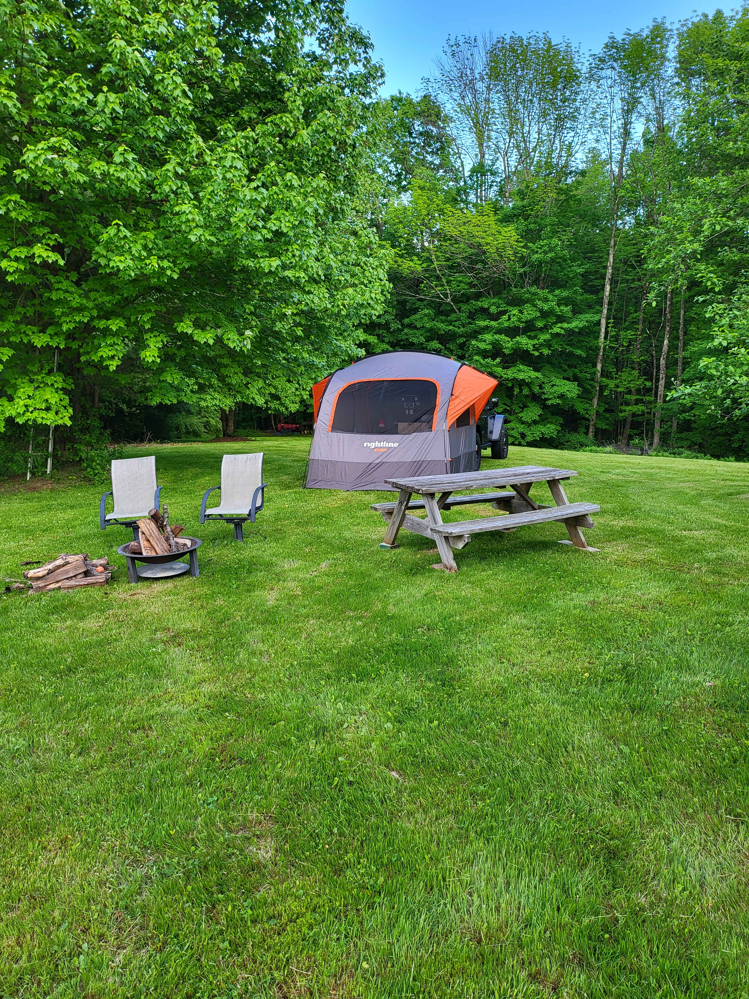 Picture of the site