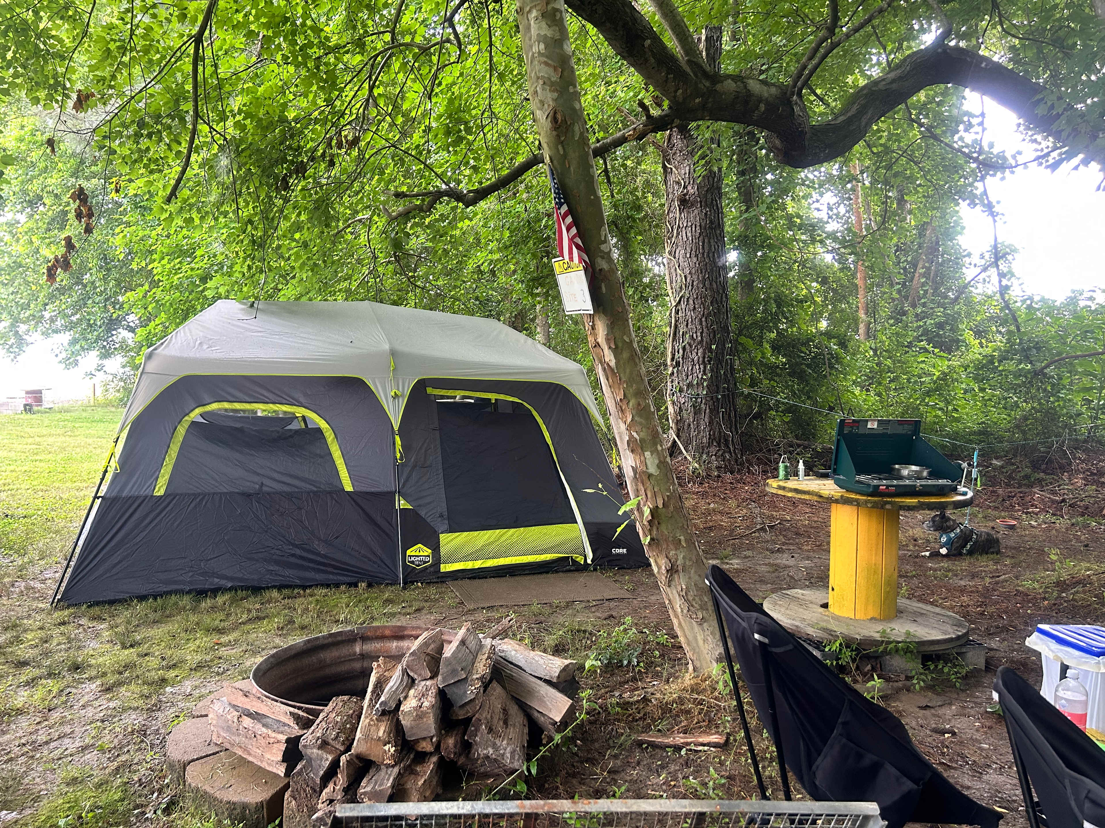 Picture of the site